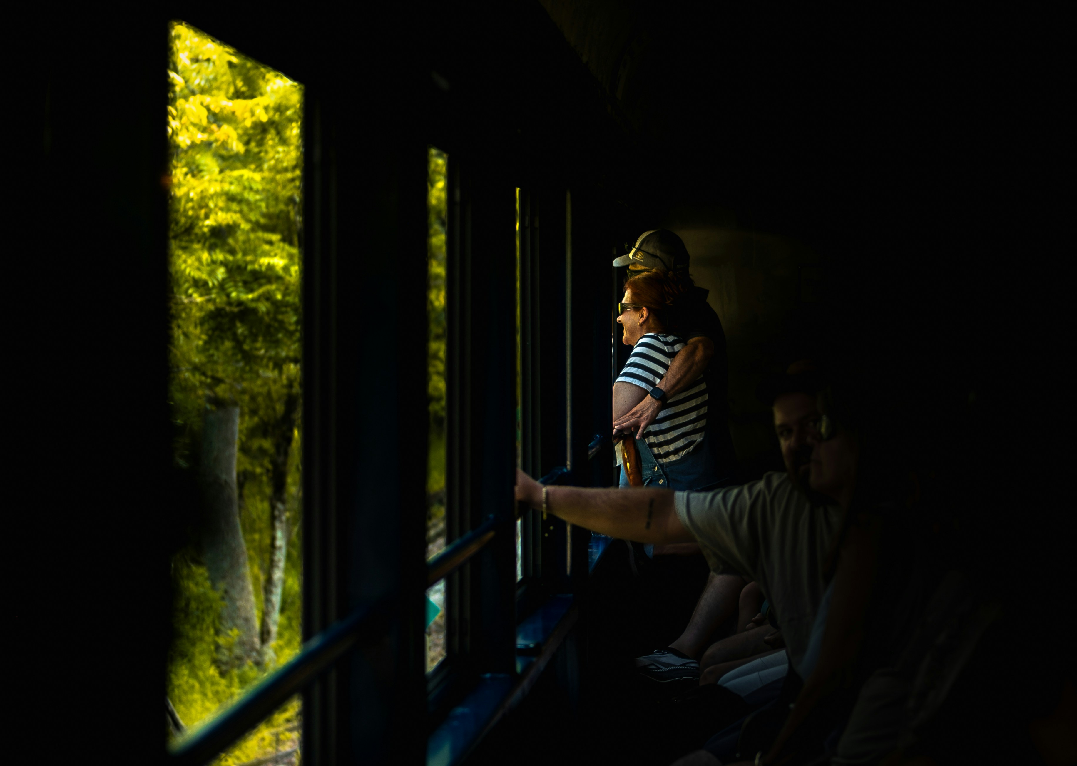 People looking out train window at green trees