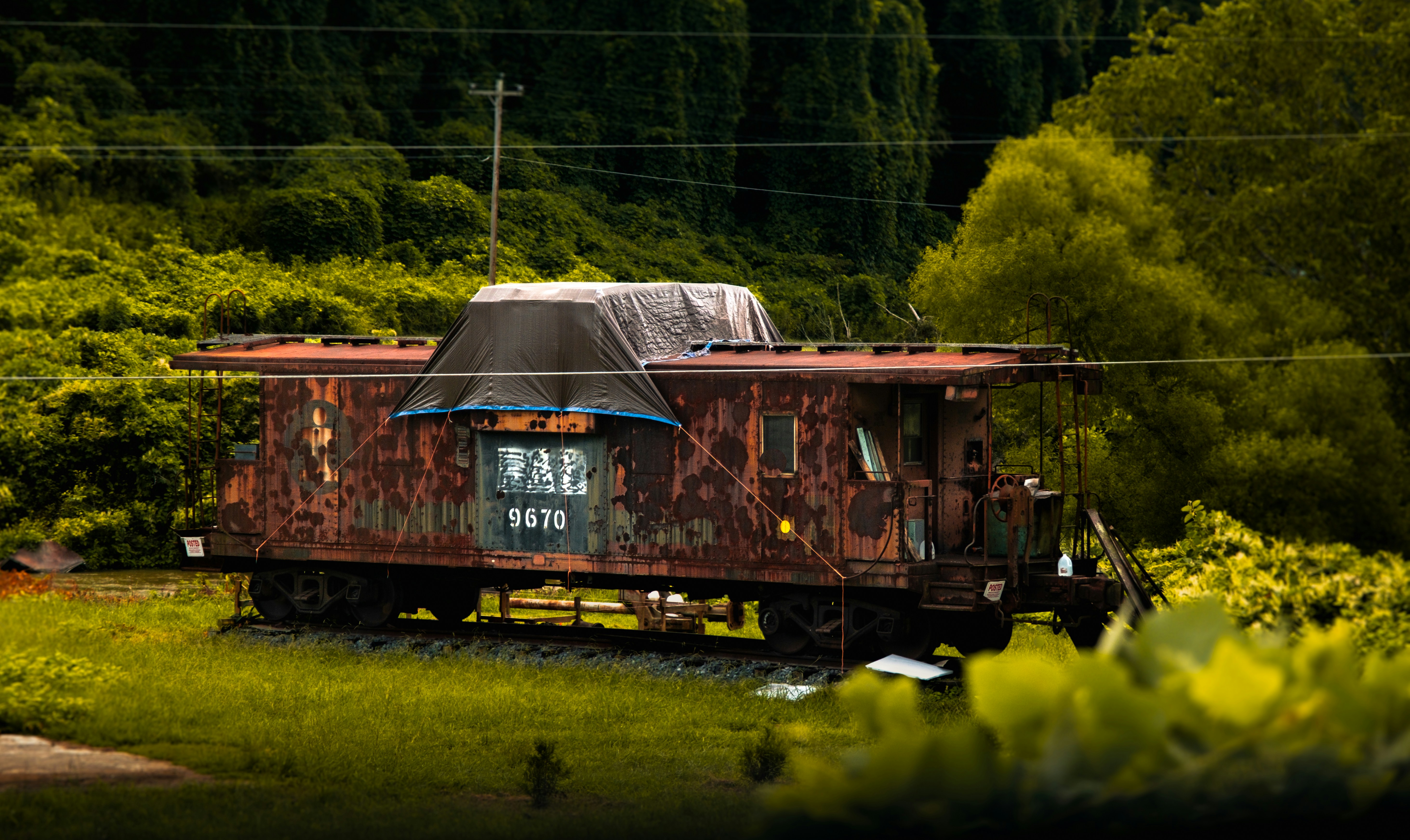Old rusty train caboose in overgrown green landscape