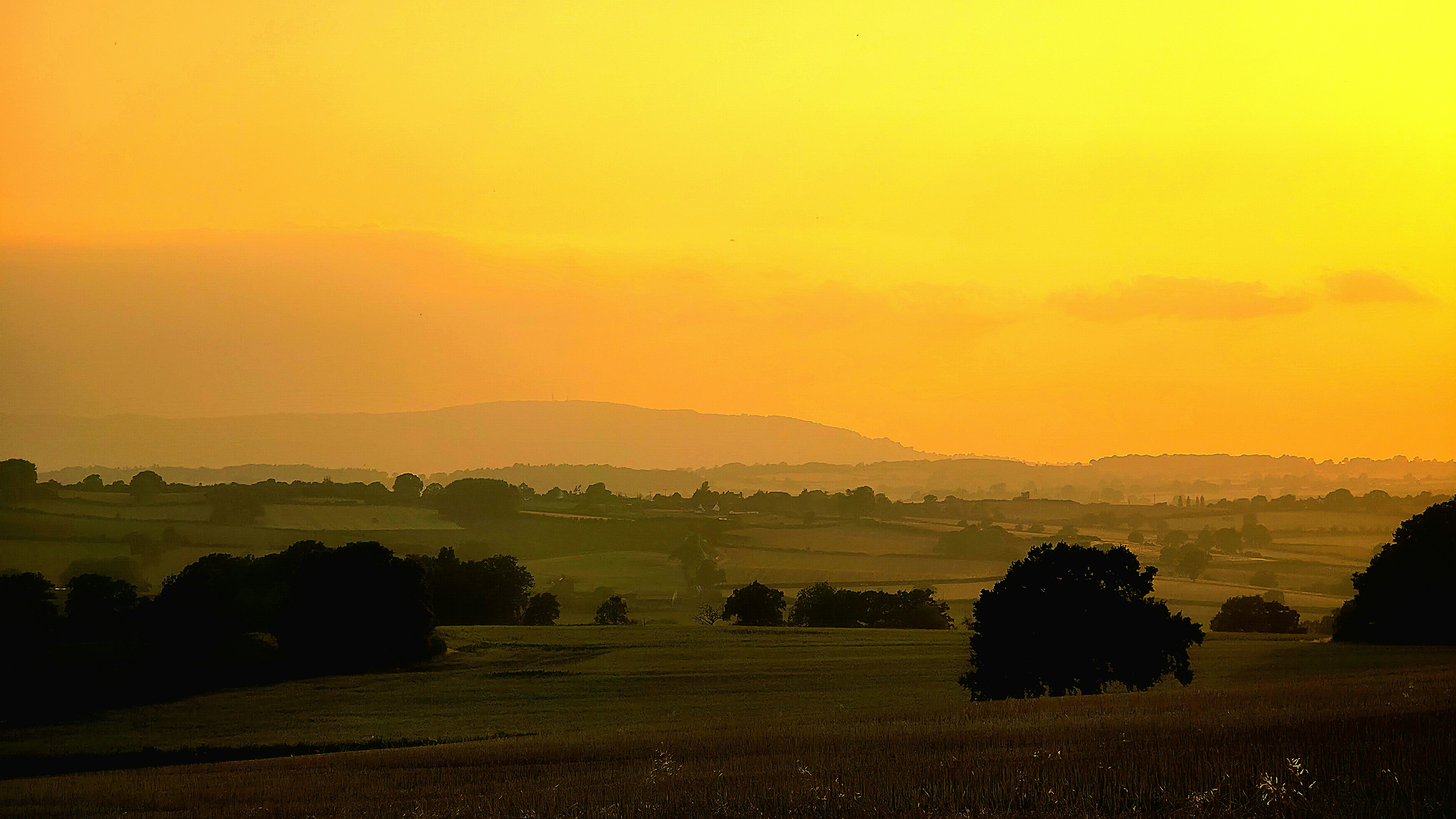 Golden sunset over rolling hills and trees