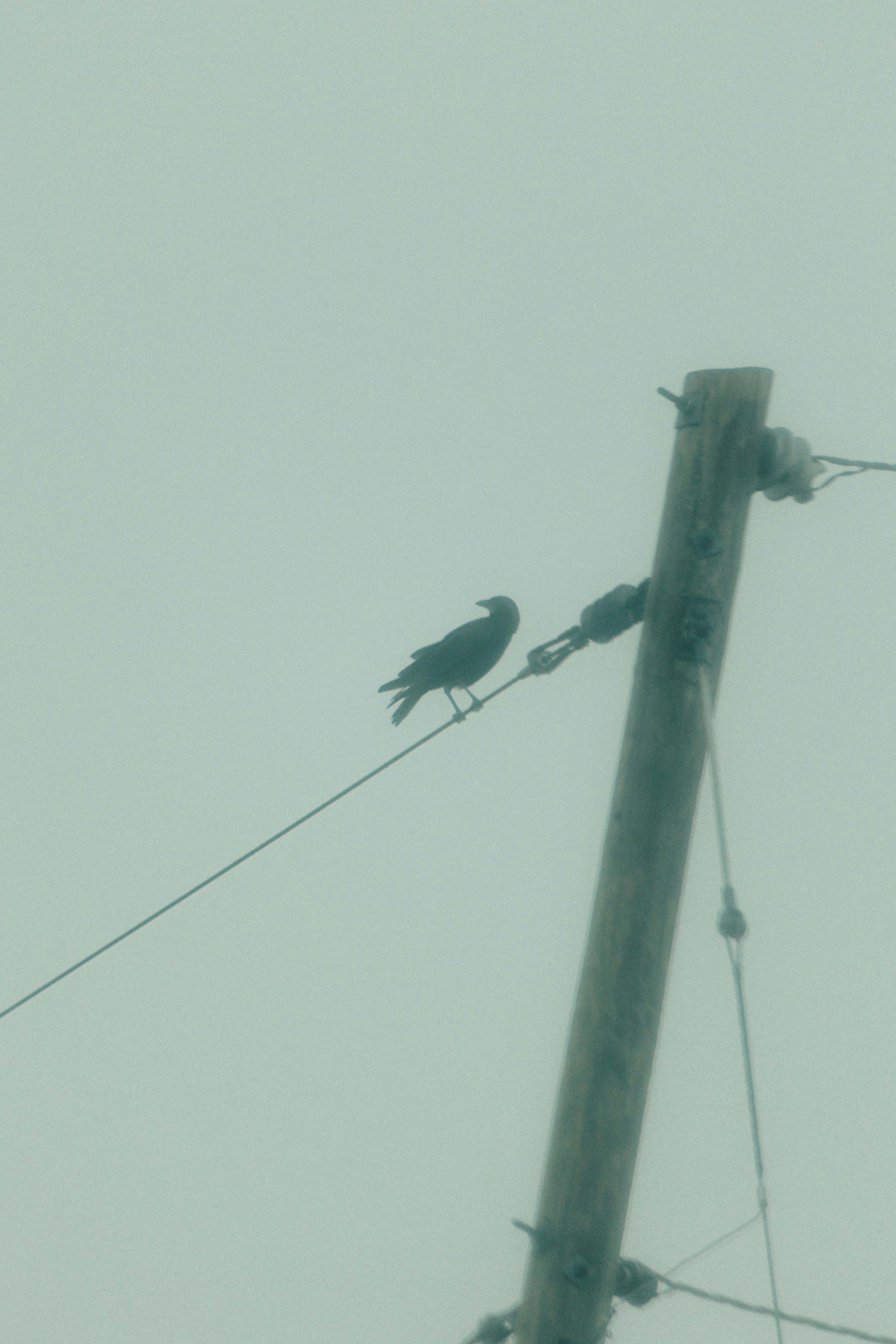 Photo by andrew_creative