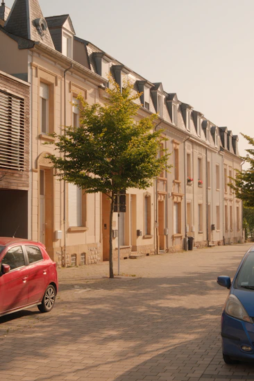 Row of townhouses with a tree and parked cars.