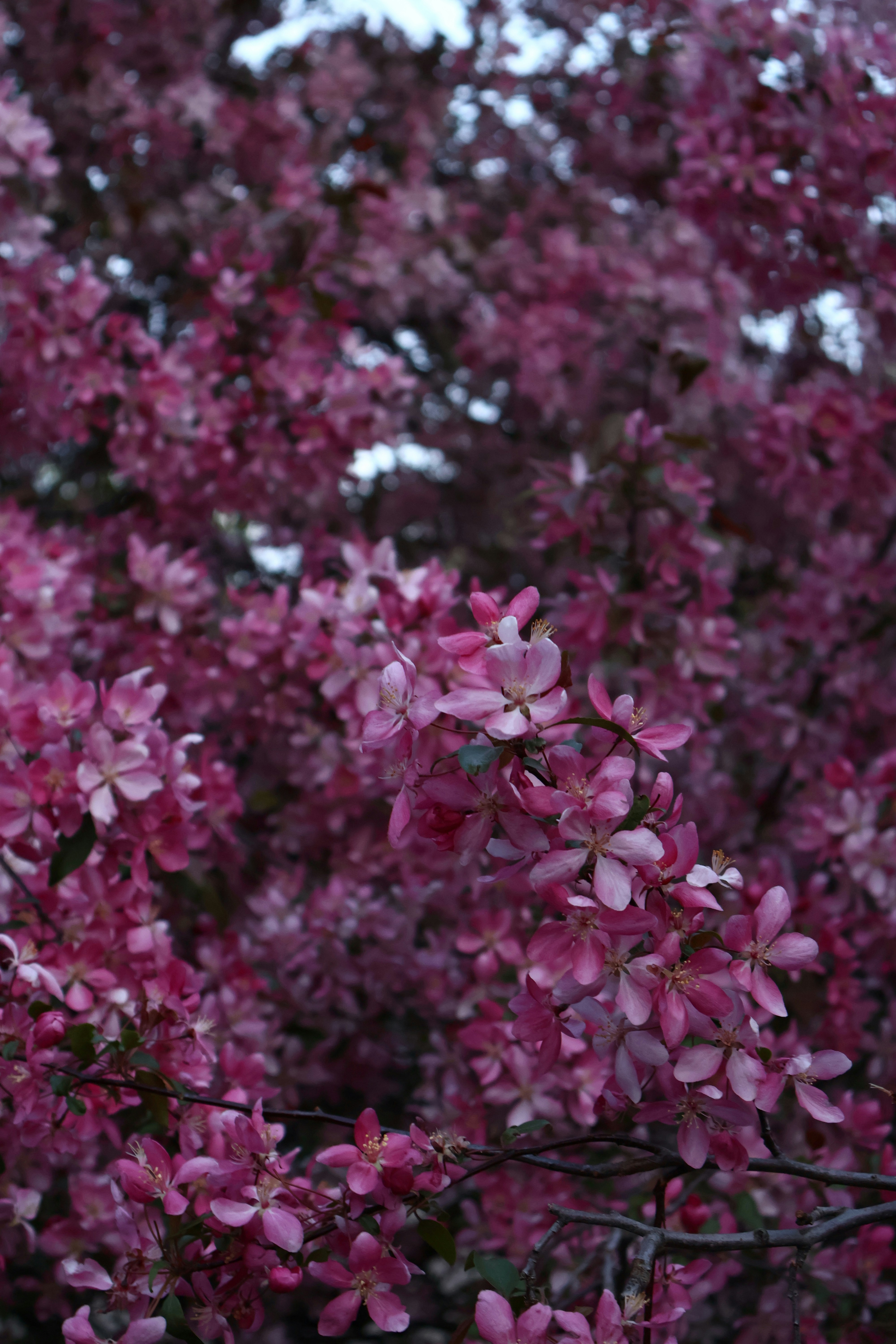 Photo by smirnovaa_juli