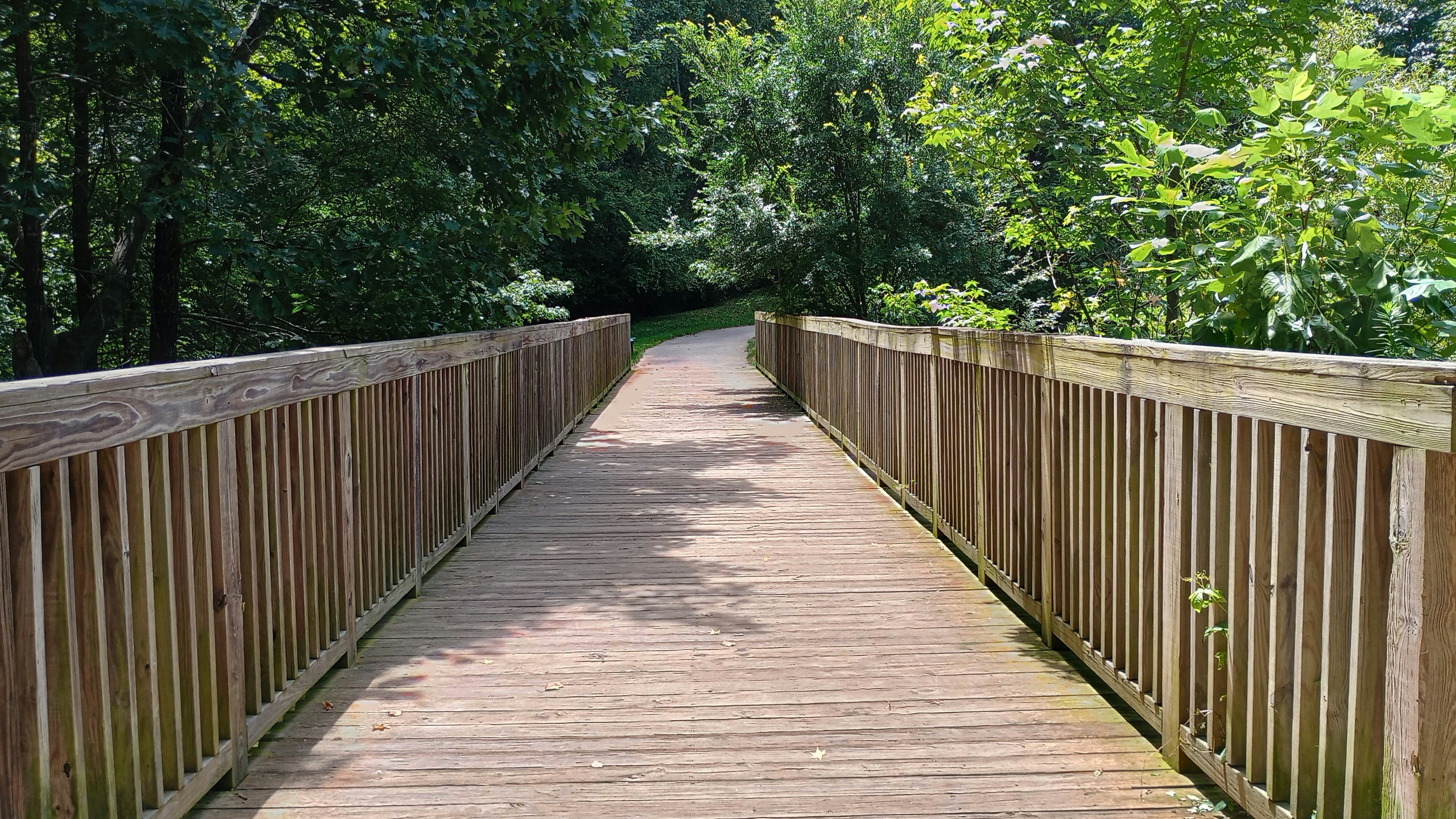 Photo by tabbycat1257