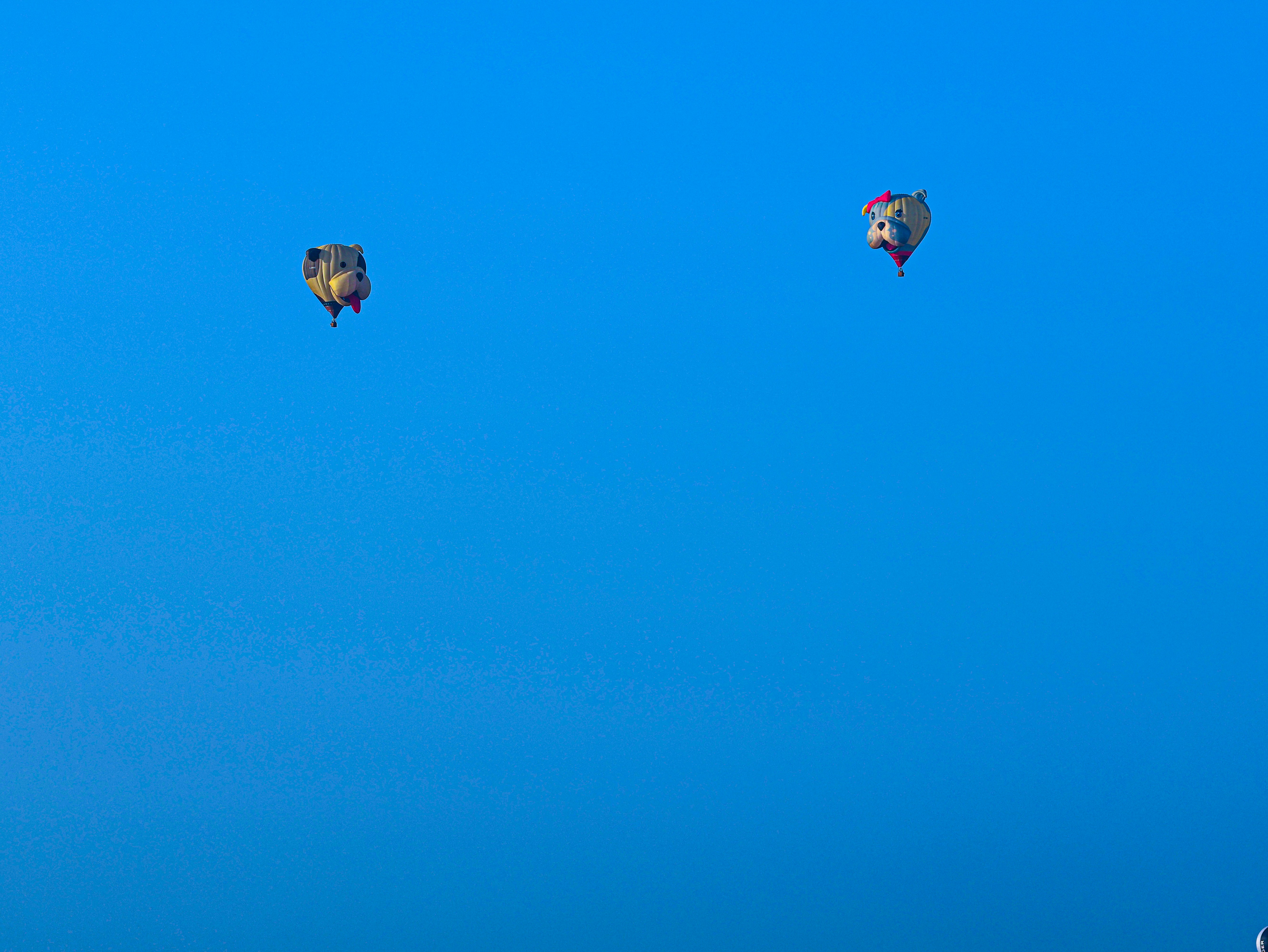 Two hot air balloons floating in a clear blue sky