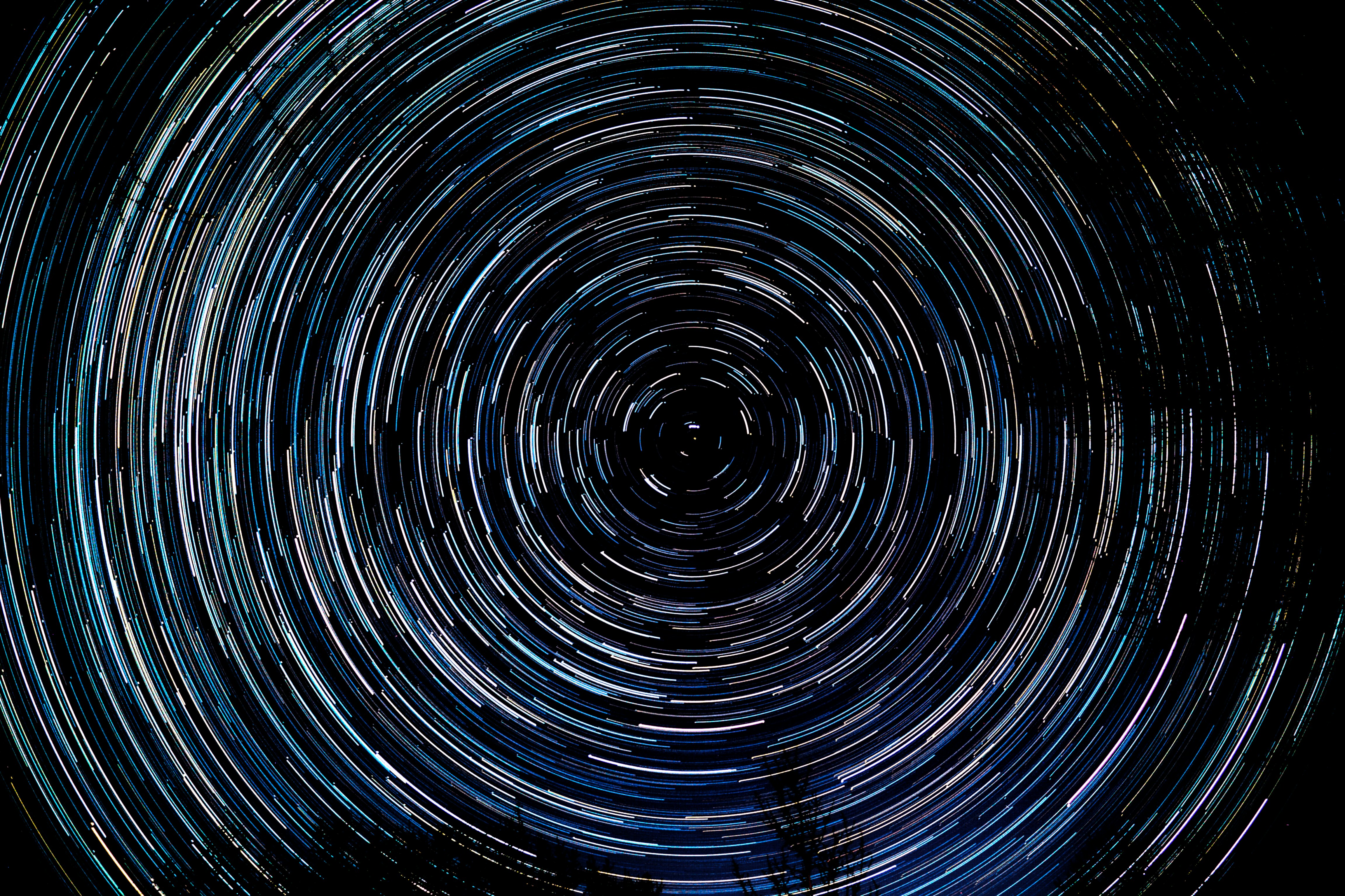 Photo by purplepanther761