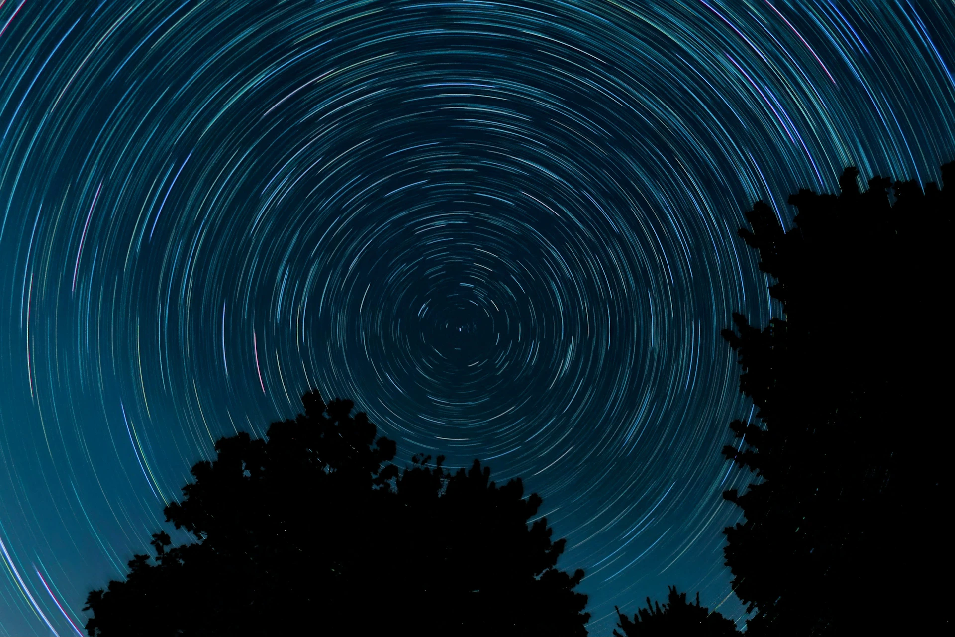 Star trails circle the night sky above trees