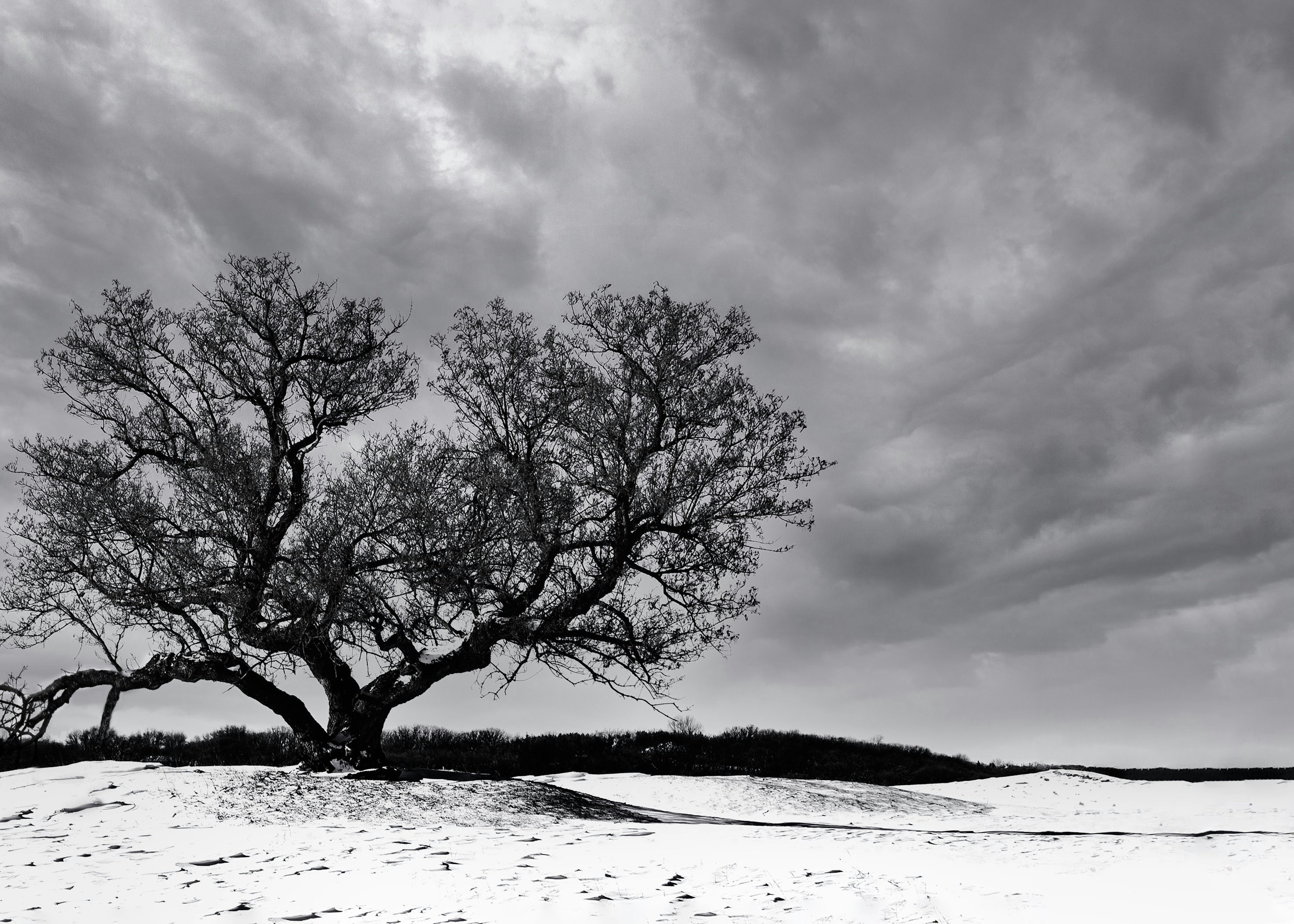 Photo by purplepanther761