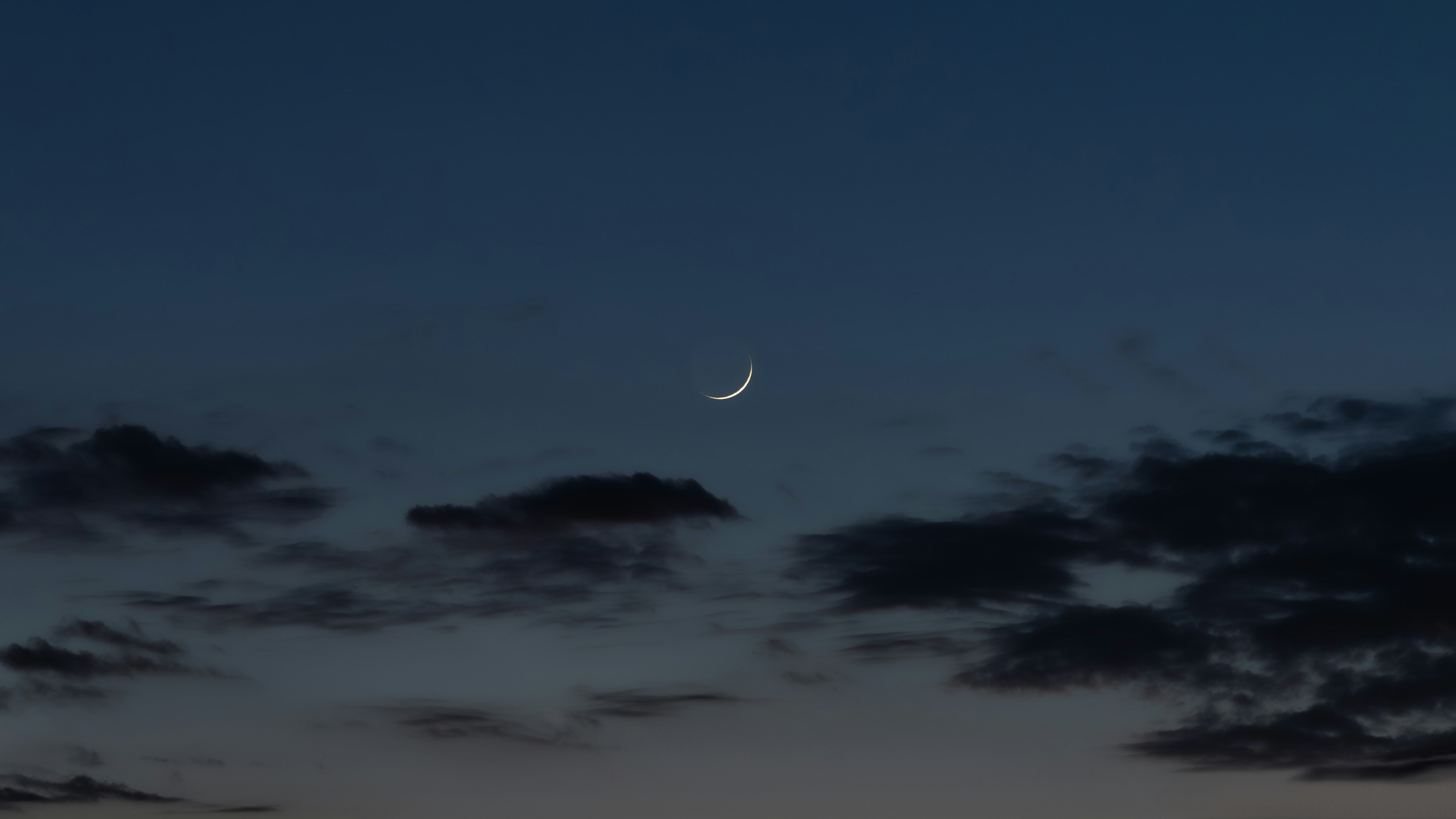 Photo by purplepanther761