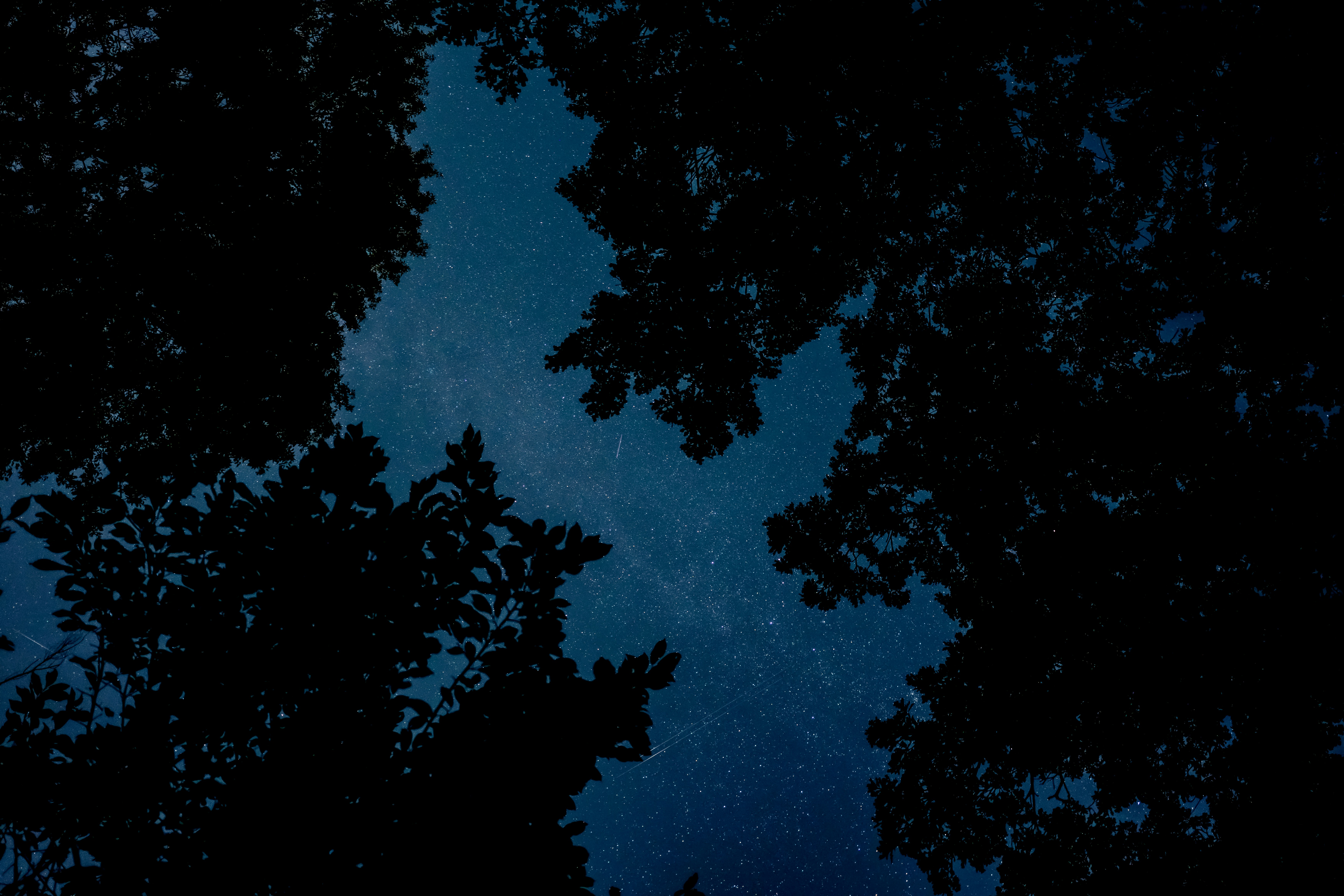 Photo by purplepanther761