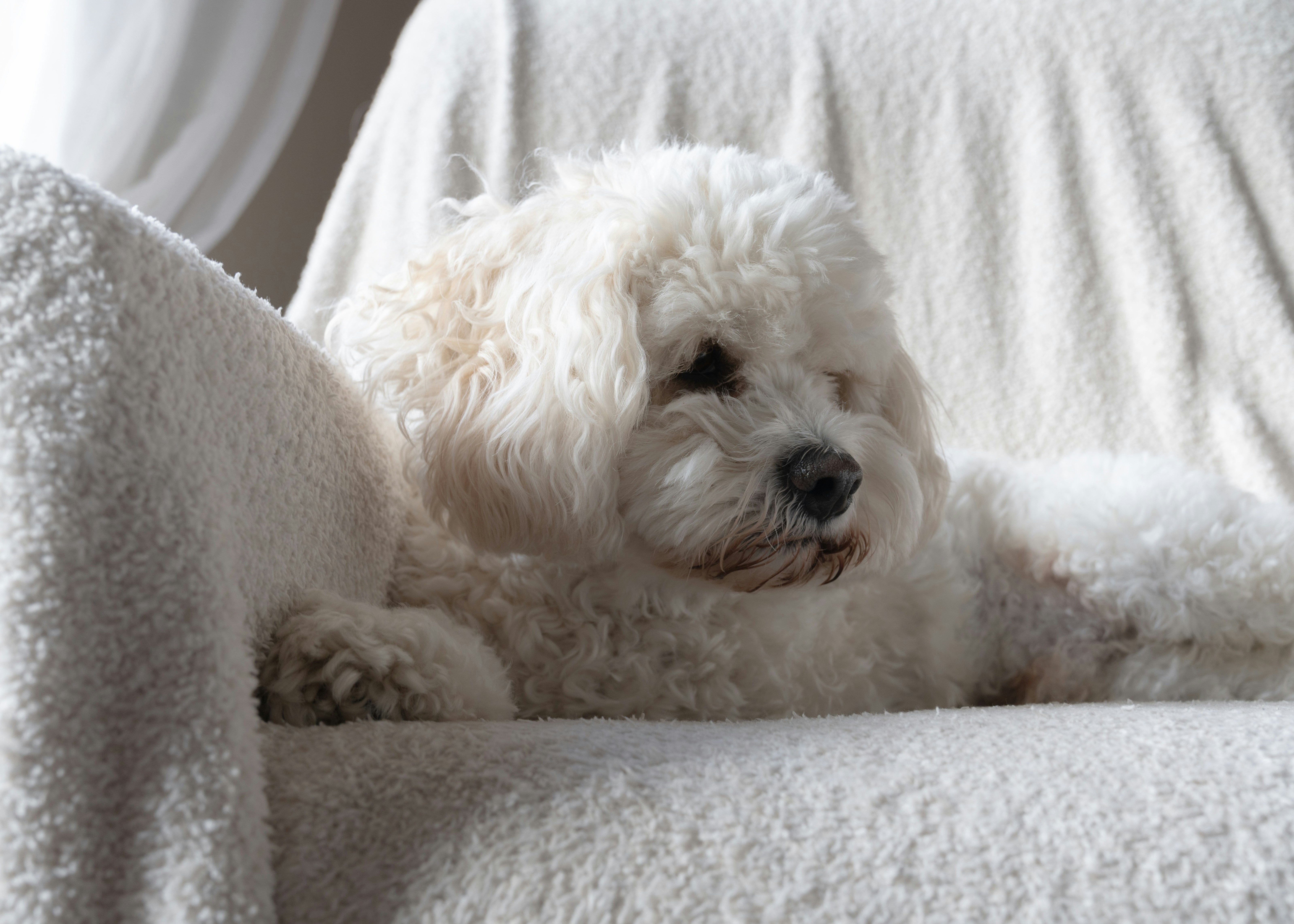 Photo by purplepanther761