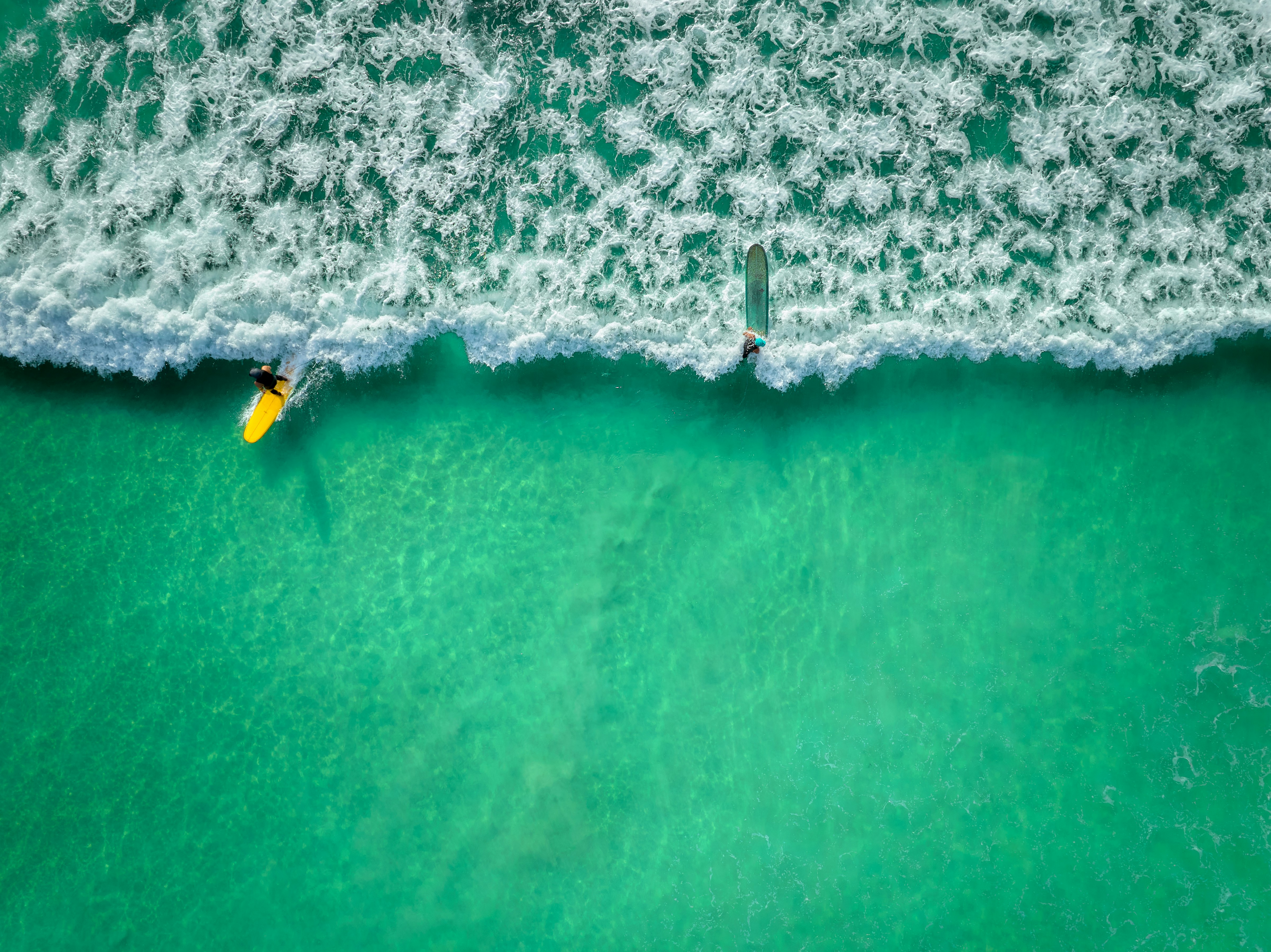 Pantera, Coinbase підтримують $15M ініціативу Surf щодо створення криптоорієнтованих AI моделей