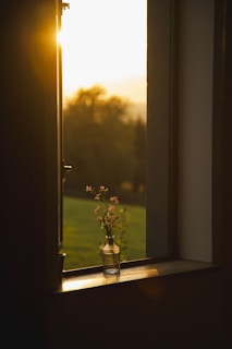 Sunset viewed through a window with flowers