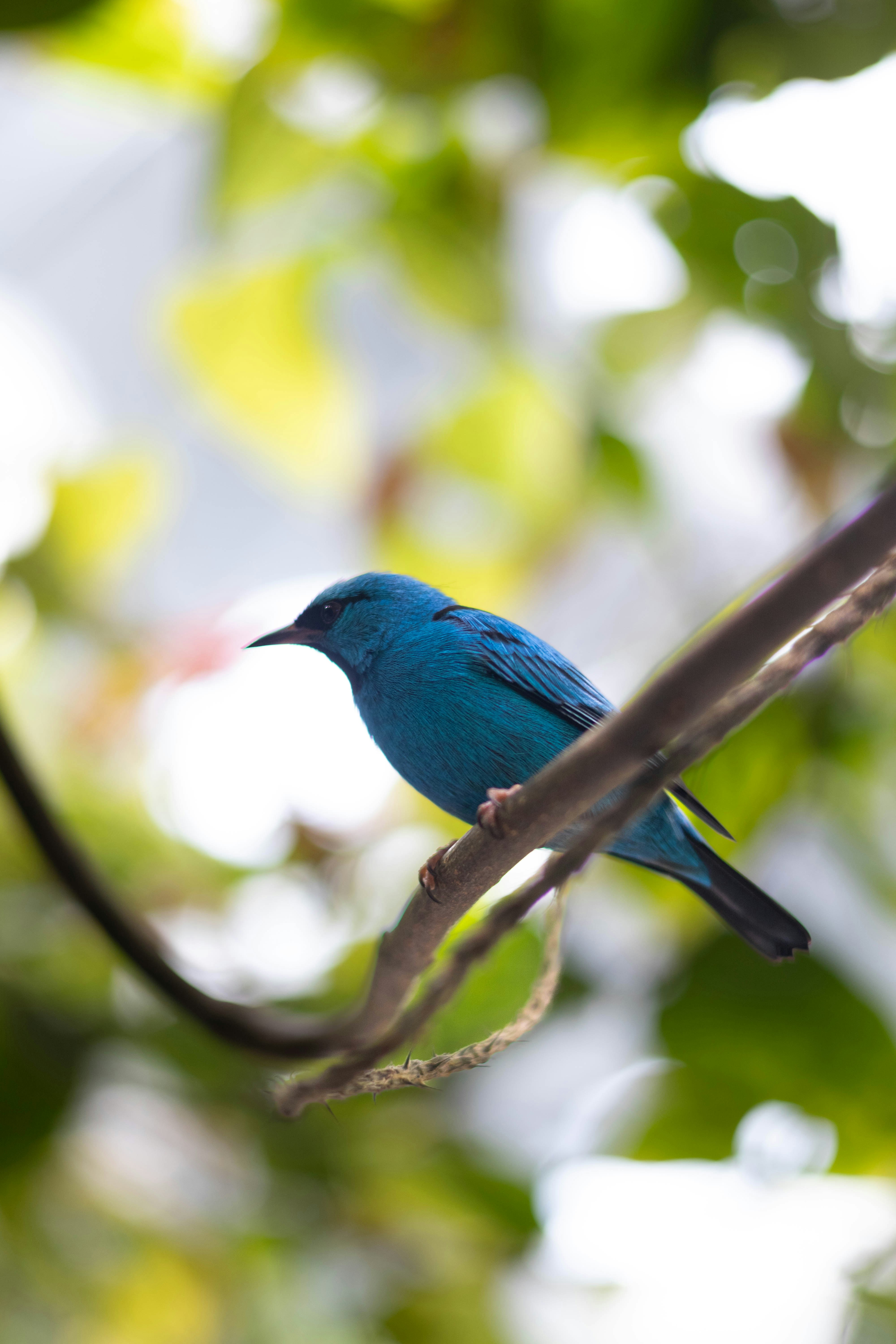 Photo by sarguninder