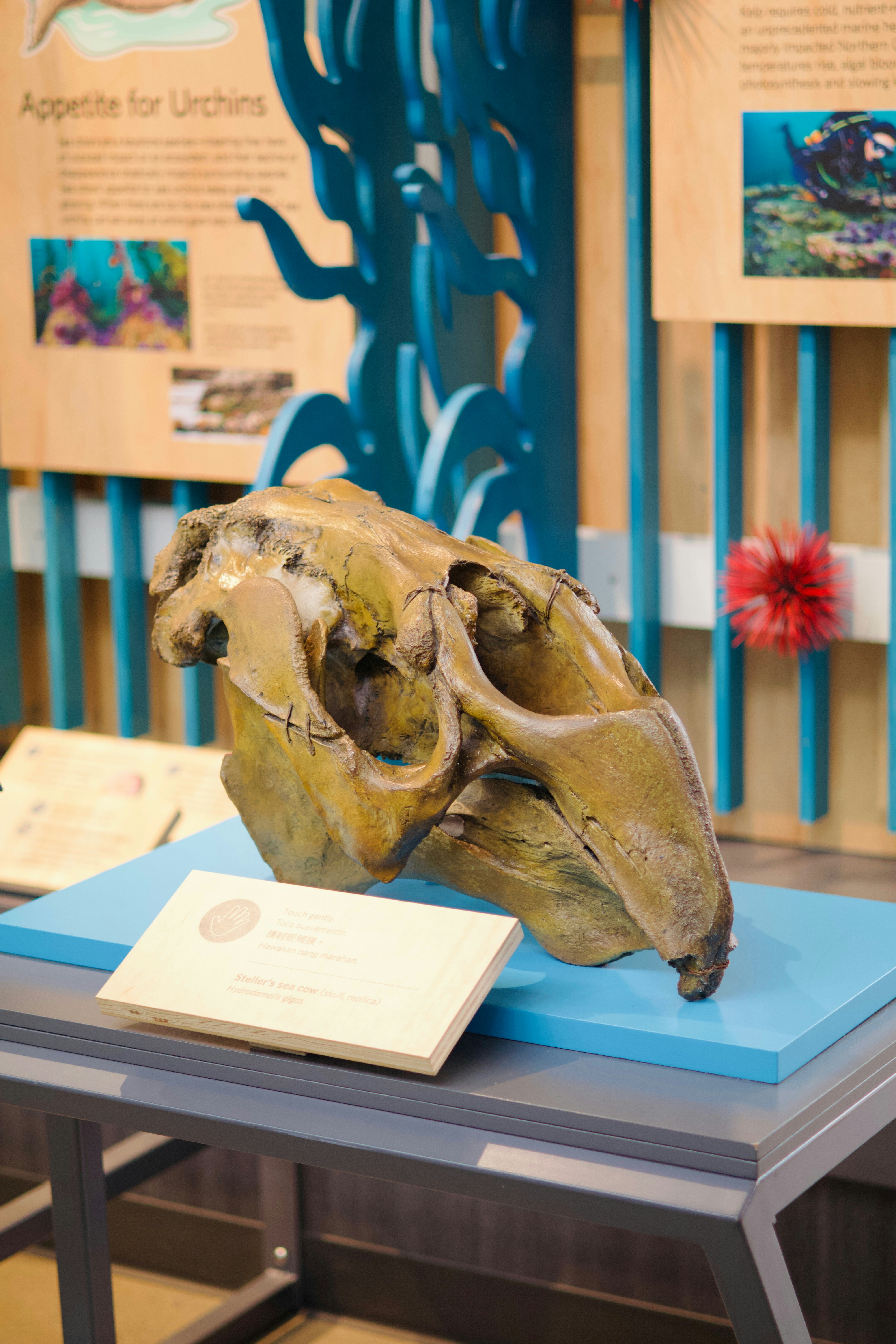 Photo by sarguninder