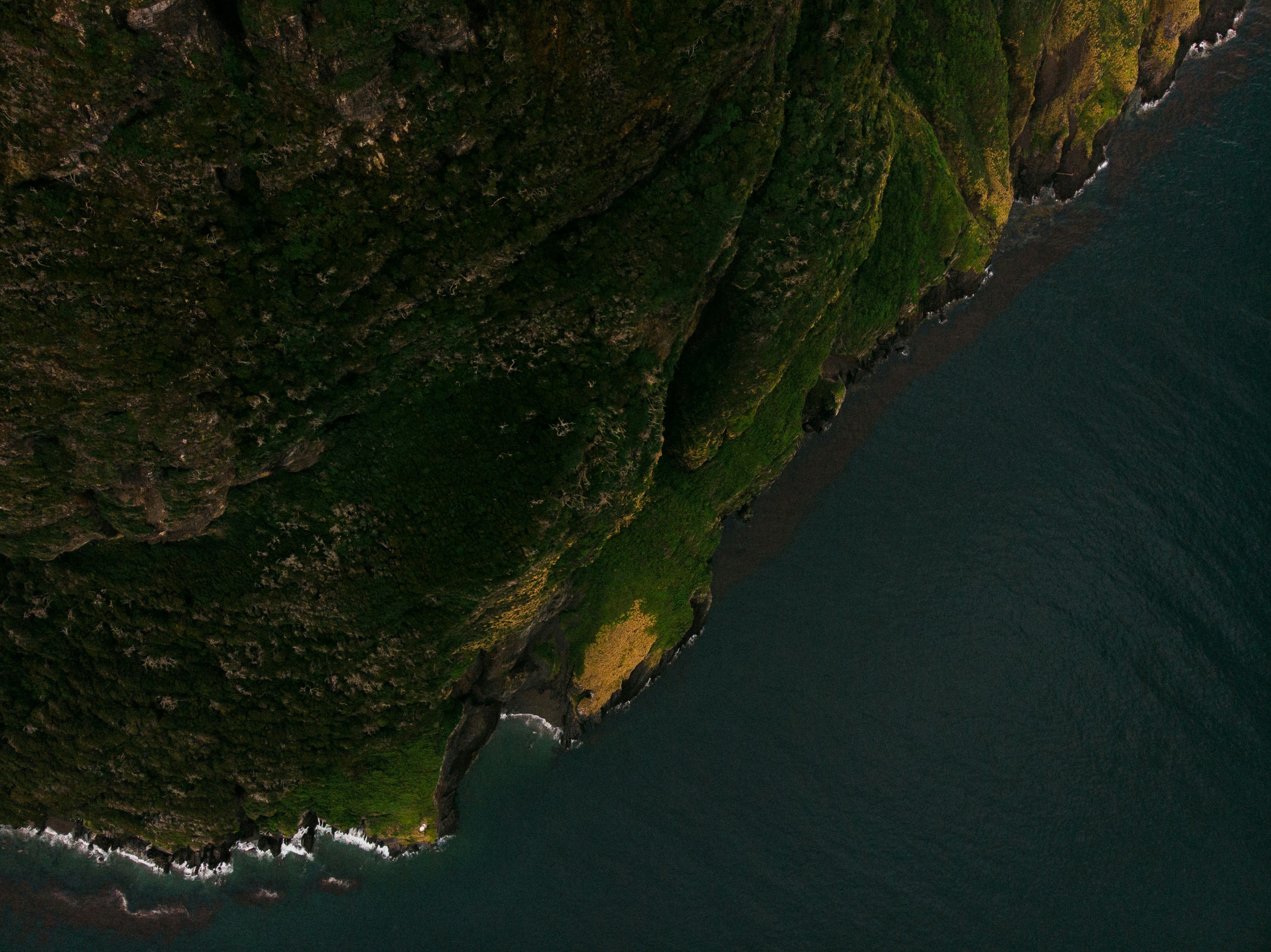 Green cliffs meet the dark ocean waves