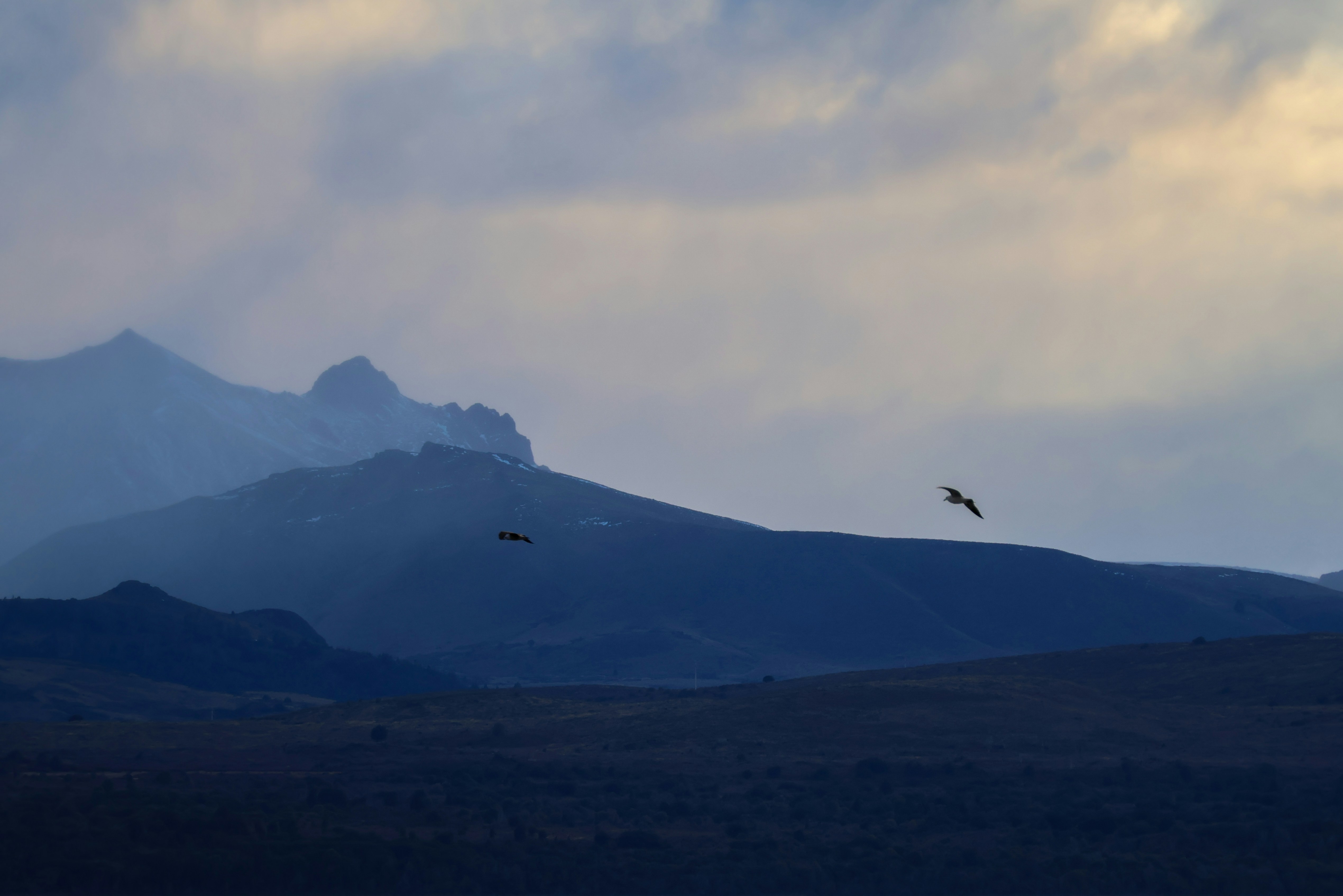 Photograph by Diego Costa