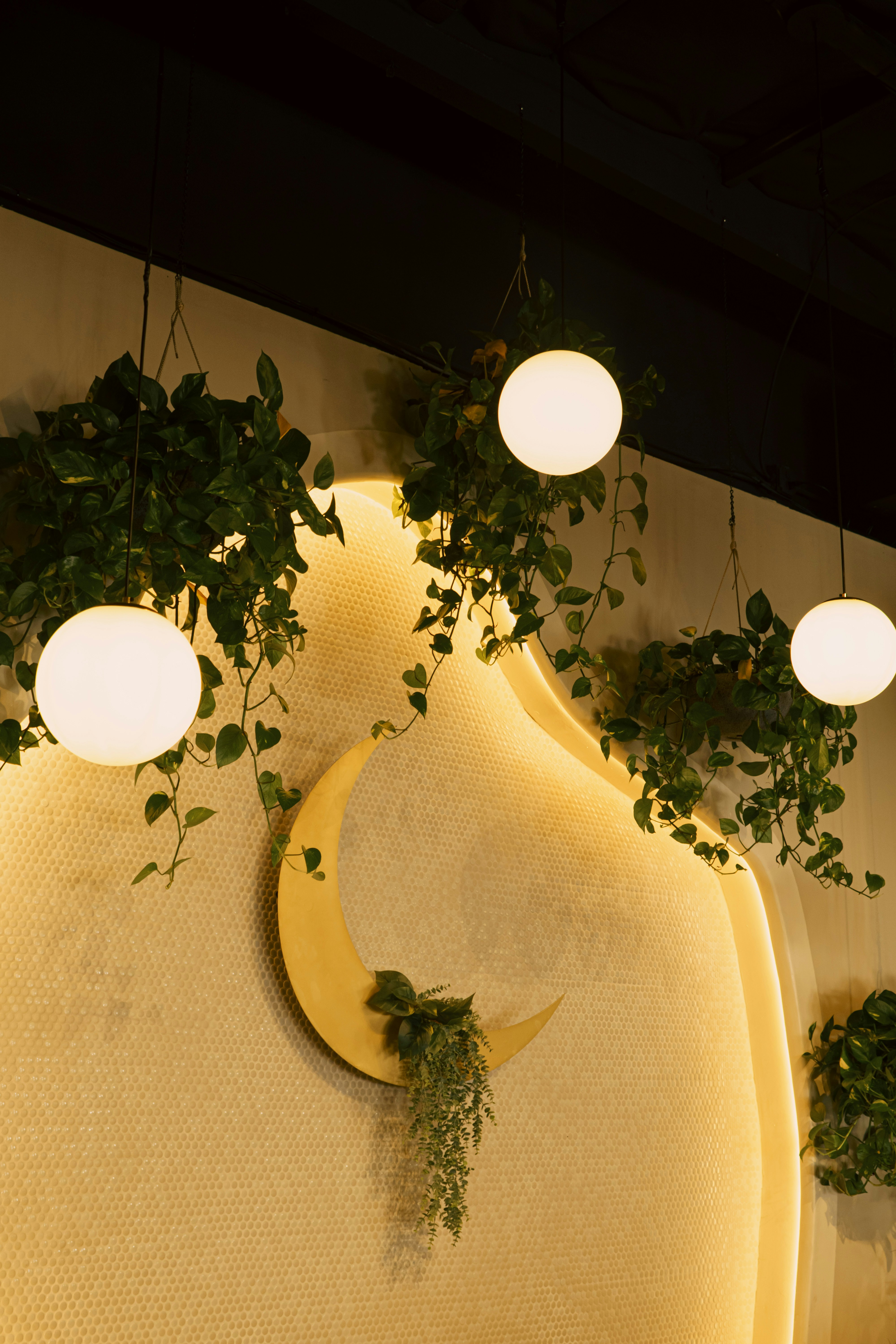 Photo by jasminewesst