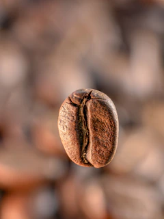 A single roasted coffee bean floats in focus.