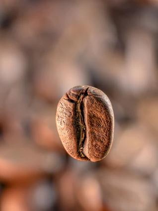 A single roasted coffee bean floats in focus.