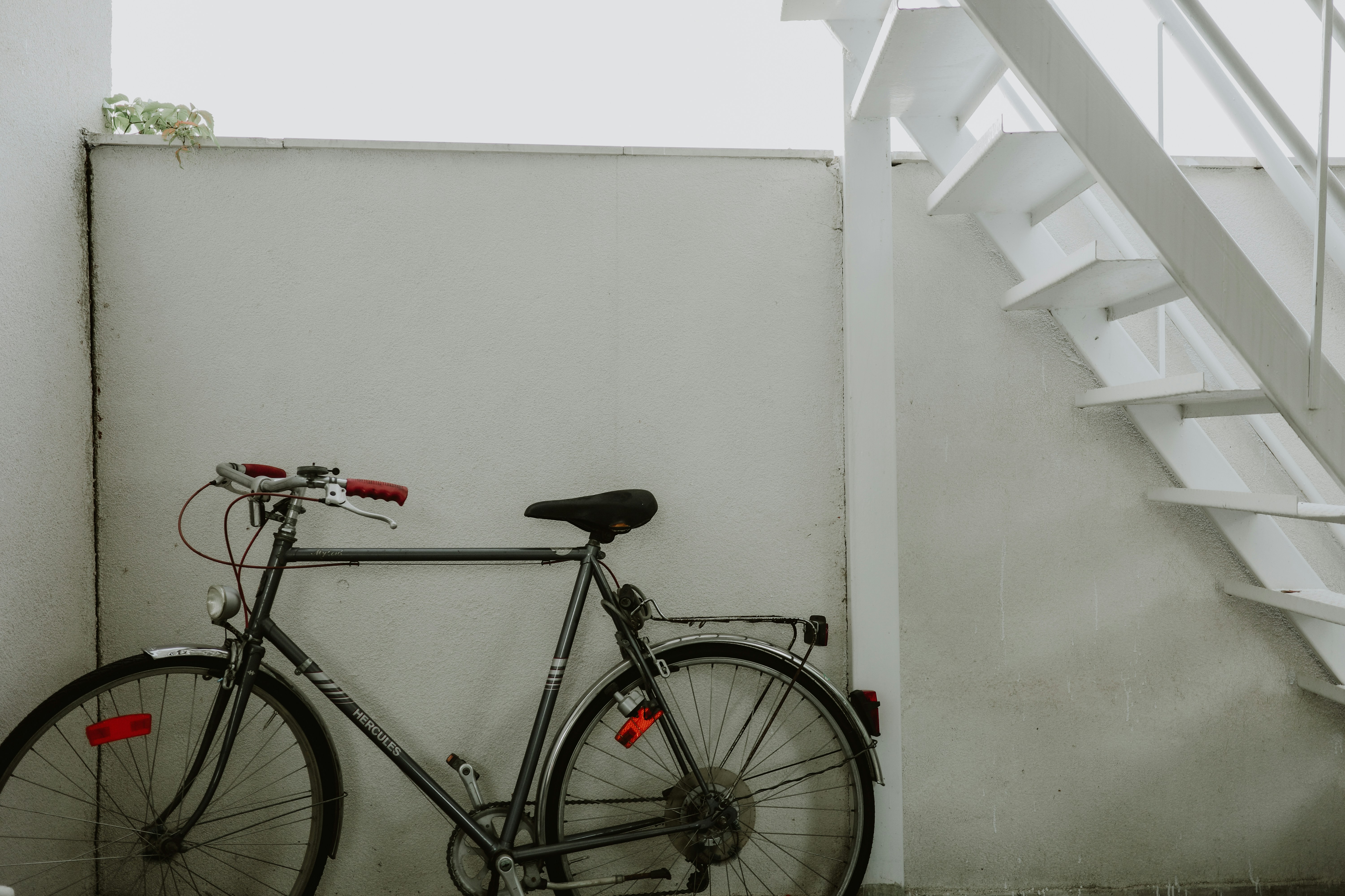 Photo by virginiaphotostories