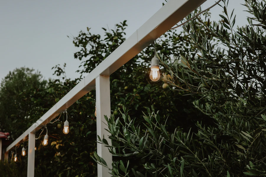 String lights on pergola