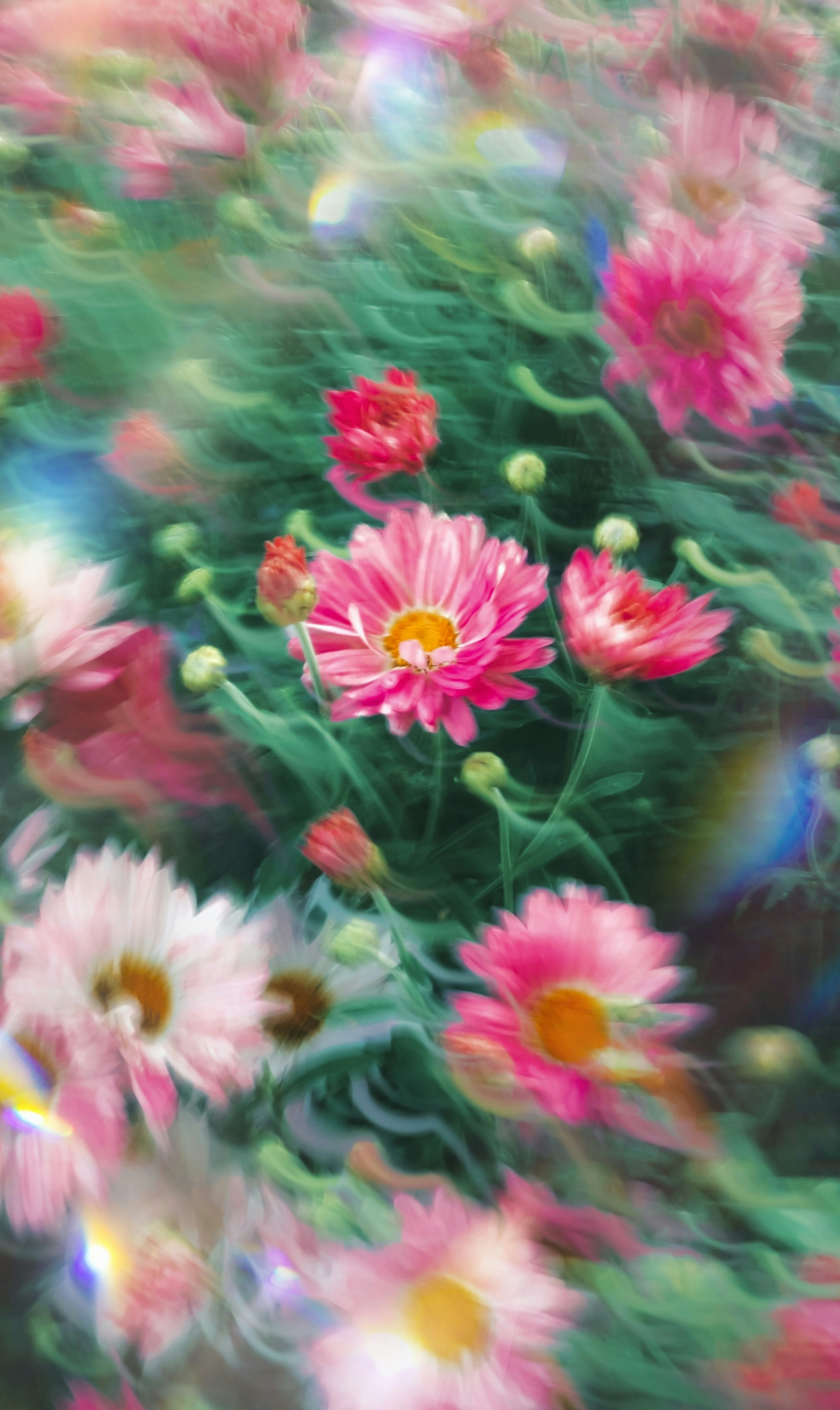 Photo by eugene_golovesov