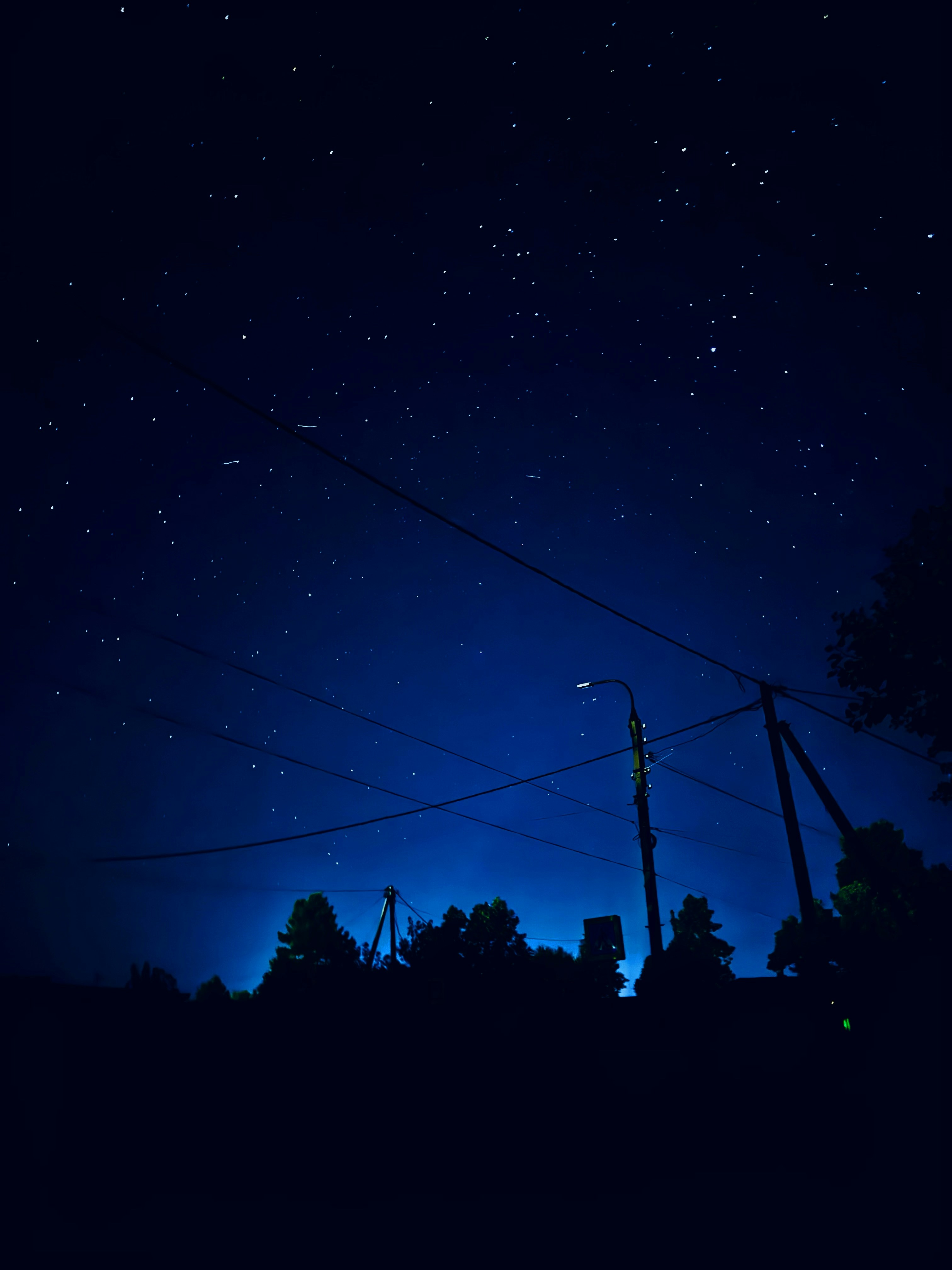 Starry night sky over silhouetted trees and power lines