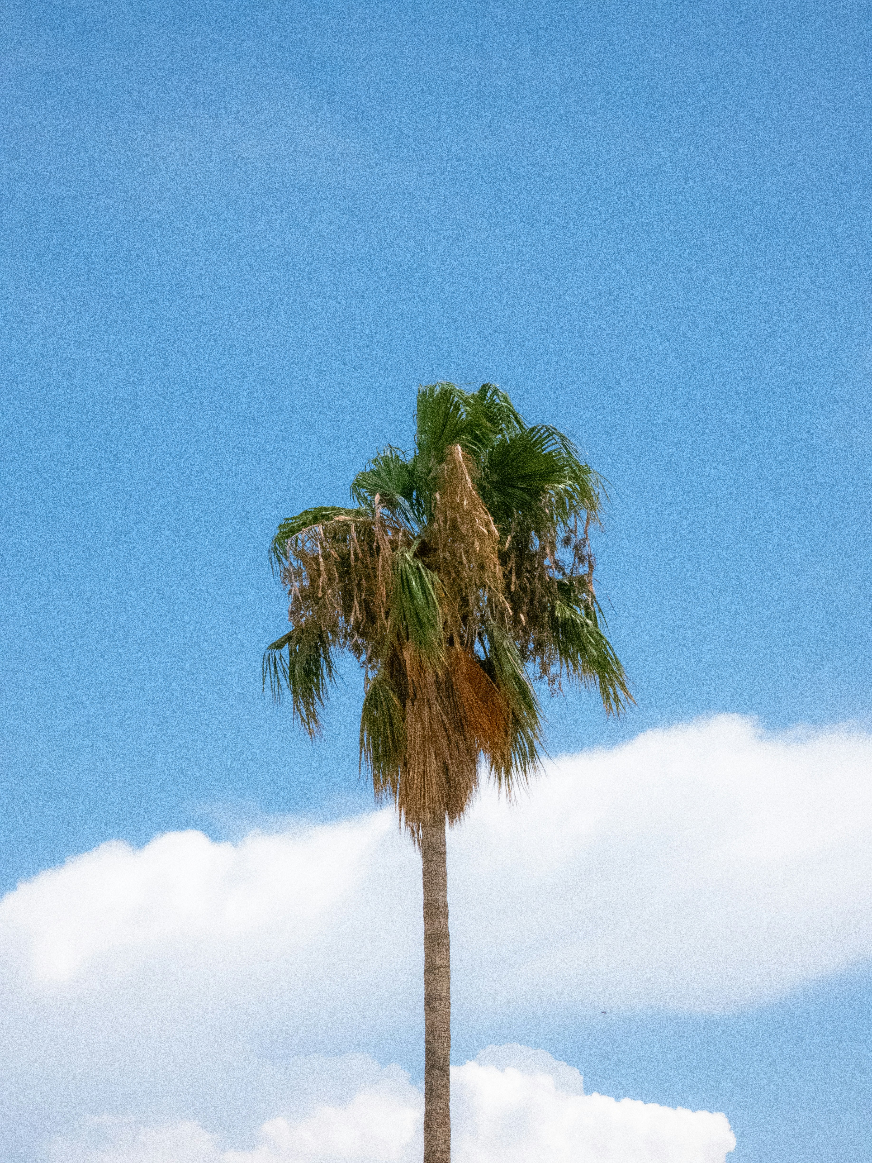 Photo by vvvvvvictoria