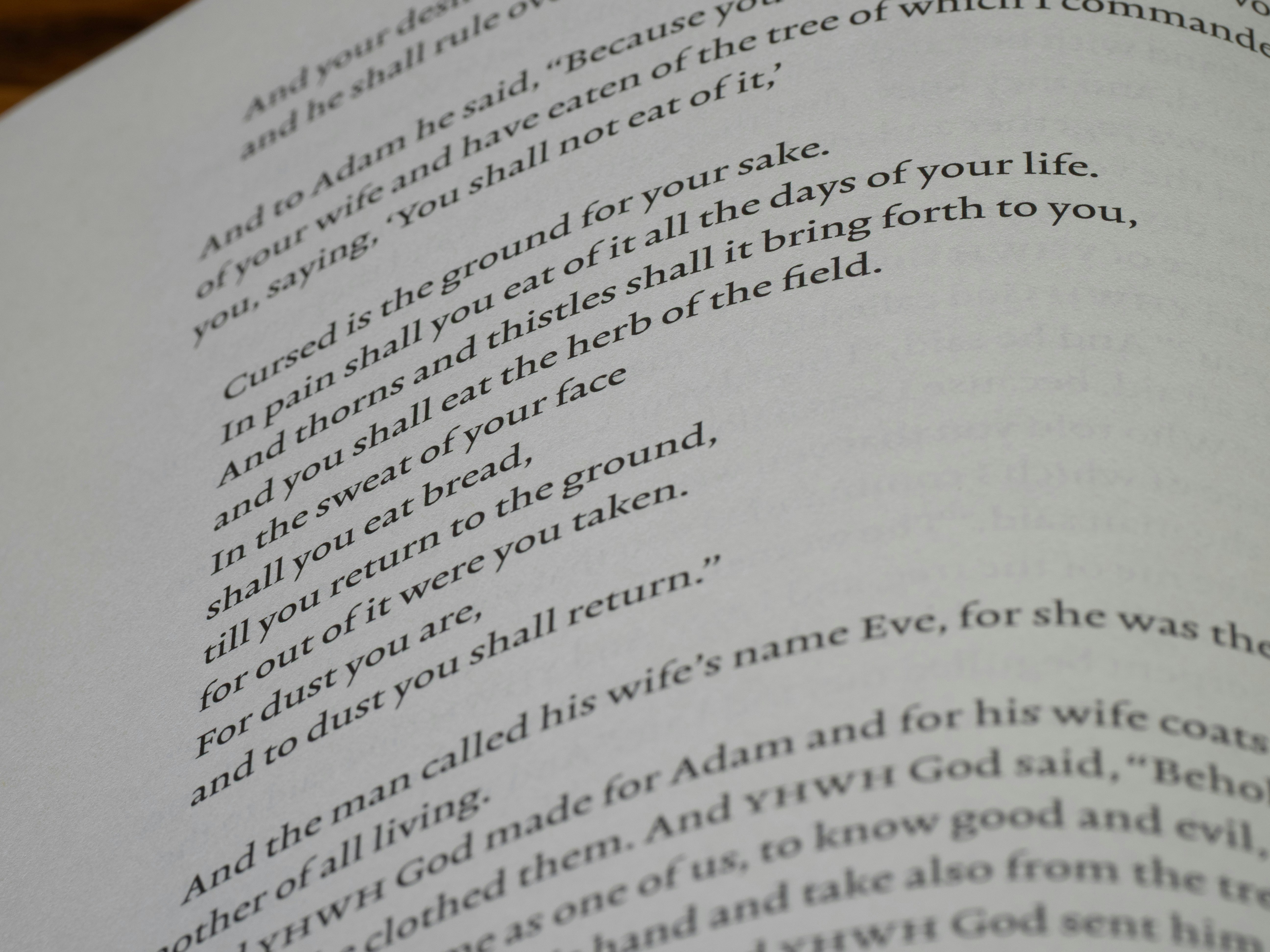 Photo by brett_jordan