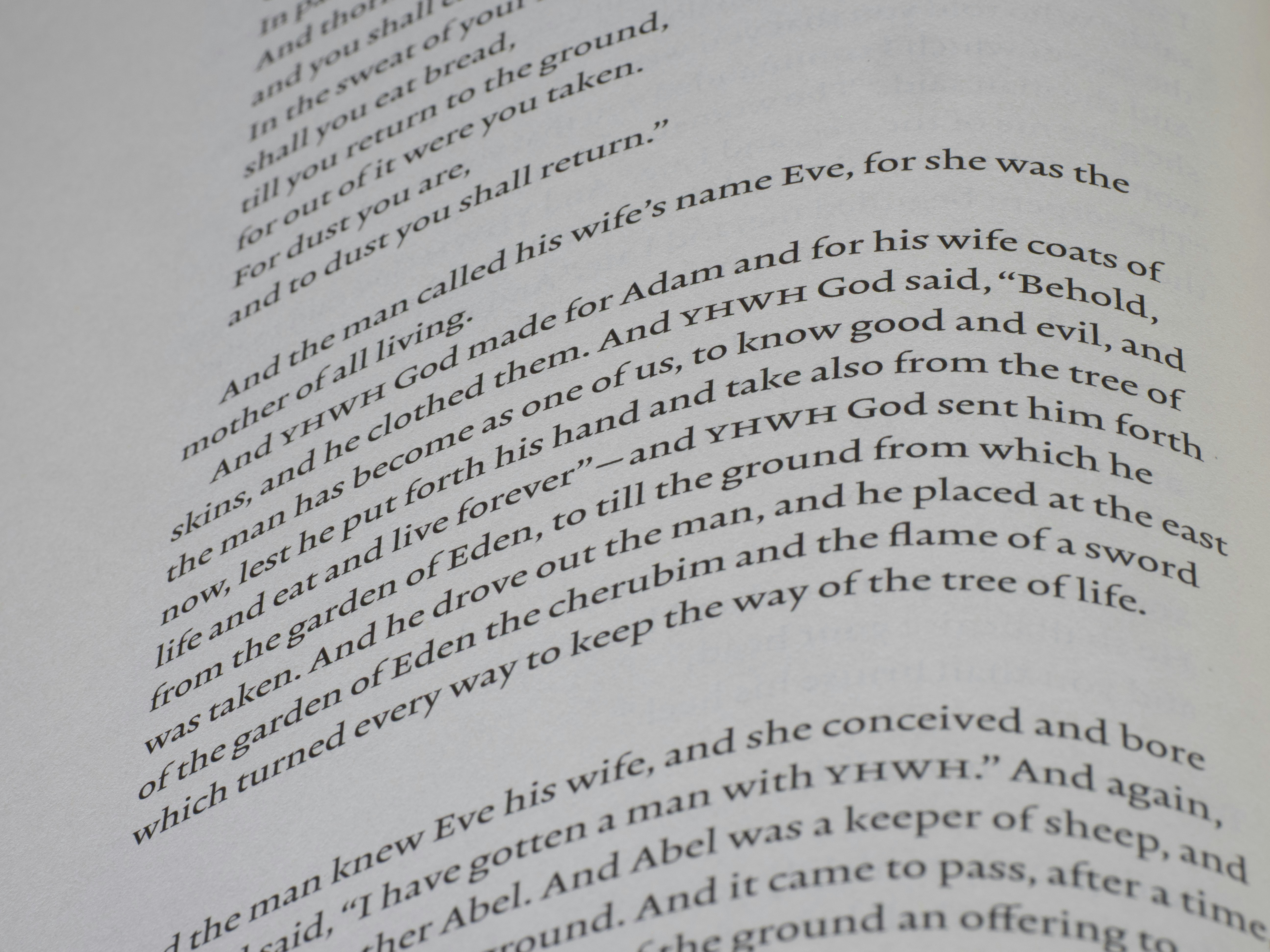 Photo by brett_jordan