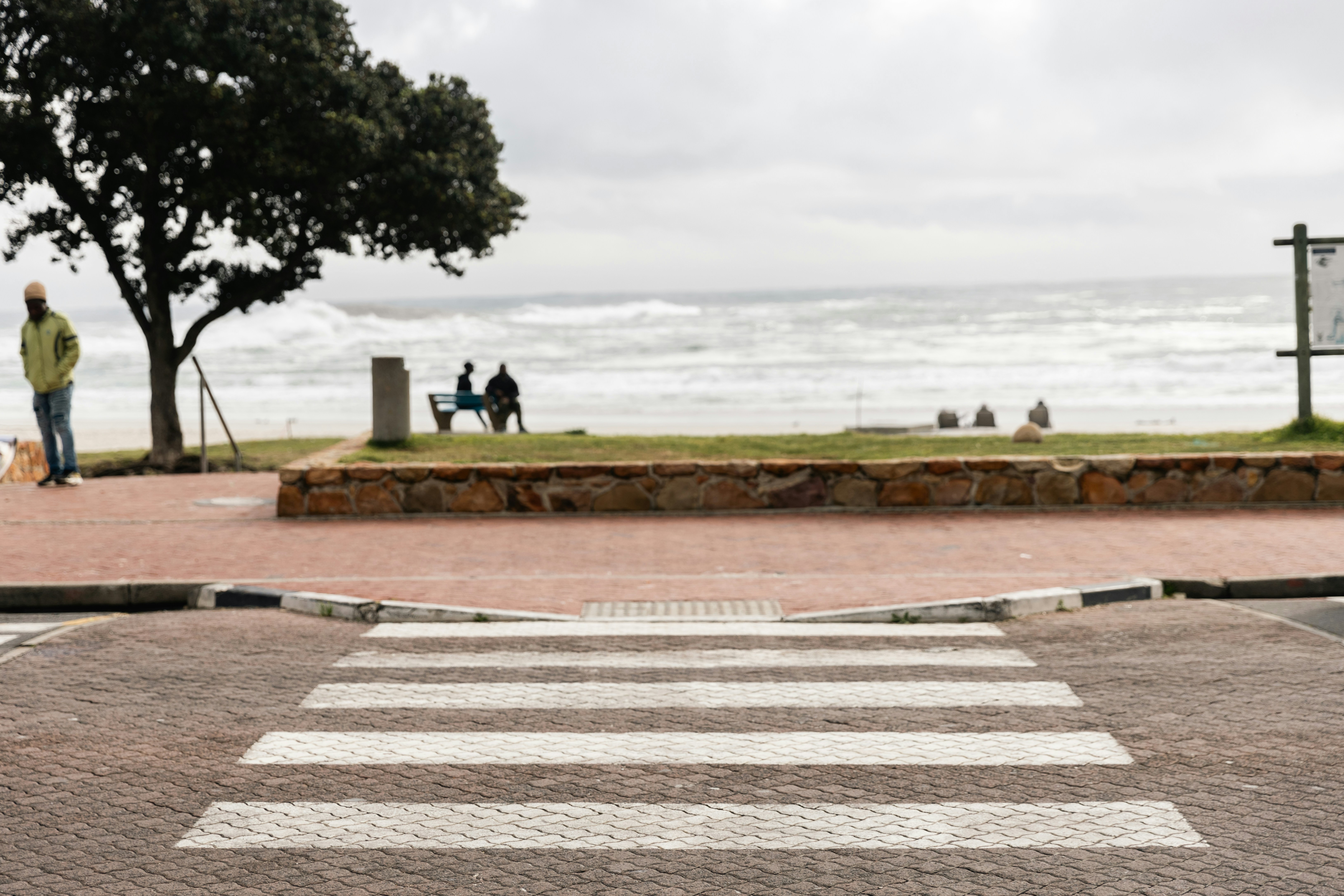 People sit on a bench by the ocean under a tree.