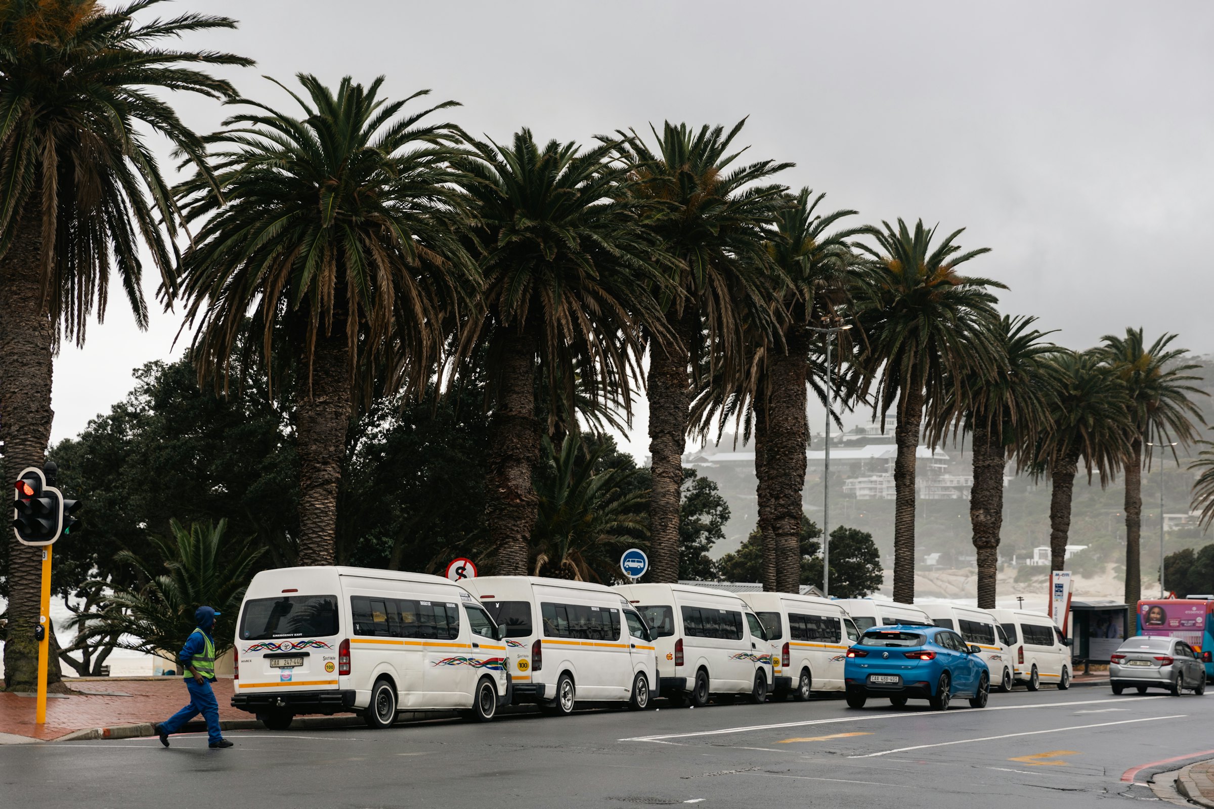 A rank of white minibus taxis lined up along a palm-lined street