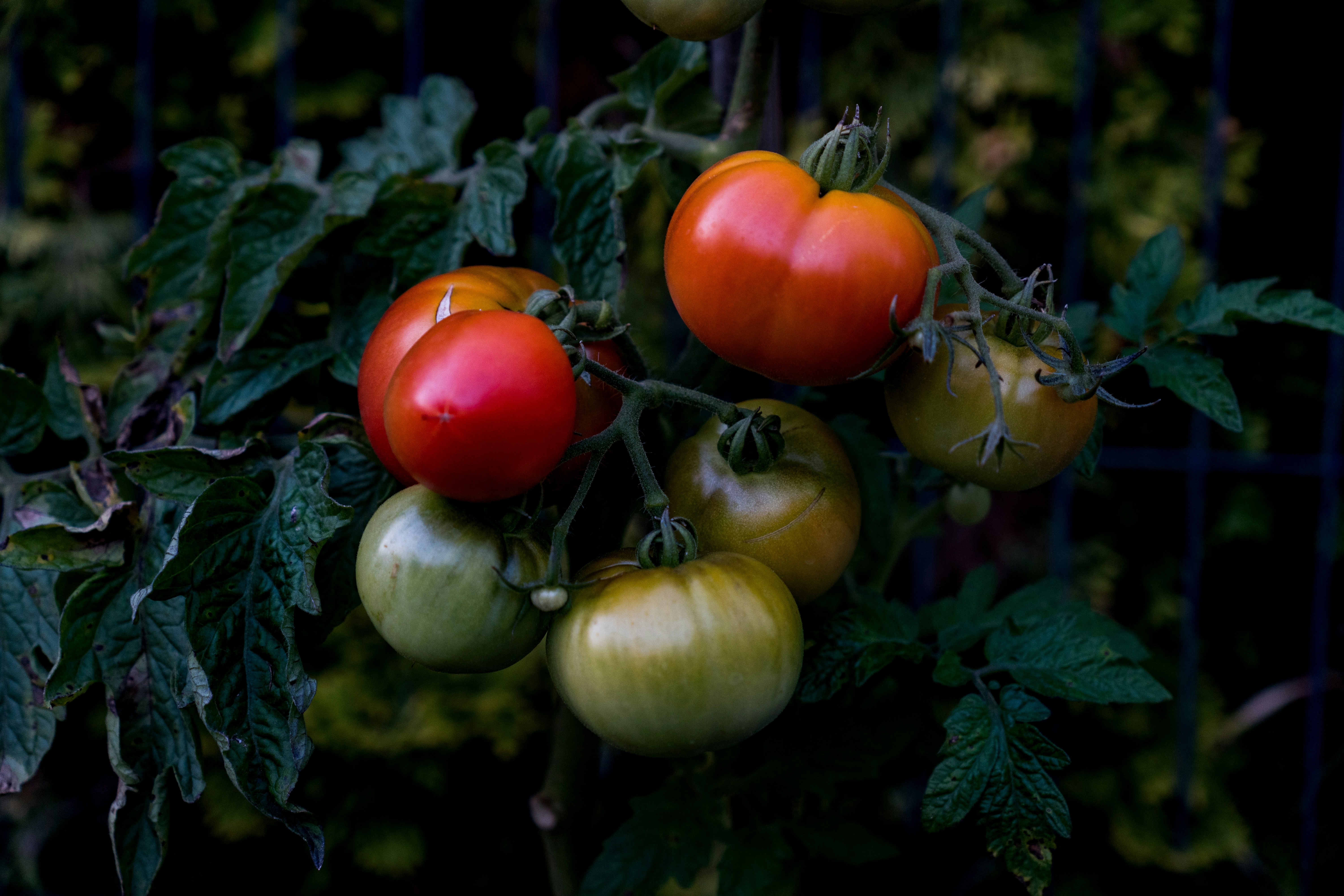 Photo by maciejka_dslr