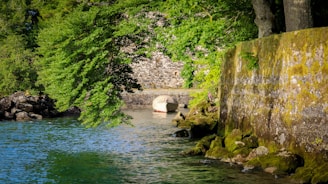 Stone bridge over a calm river surrounded by trees