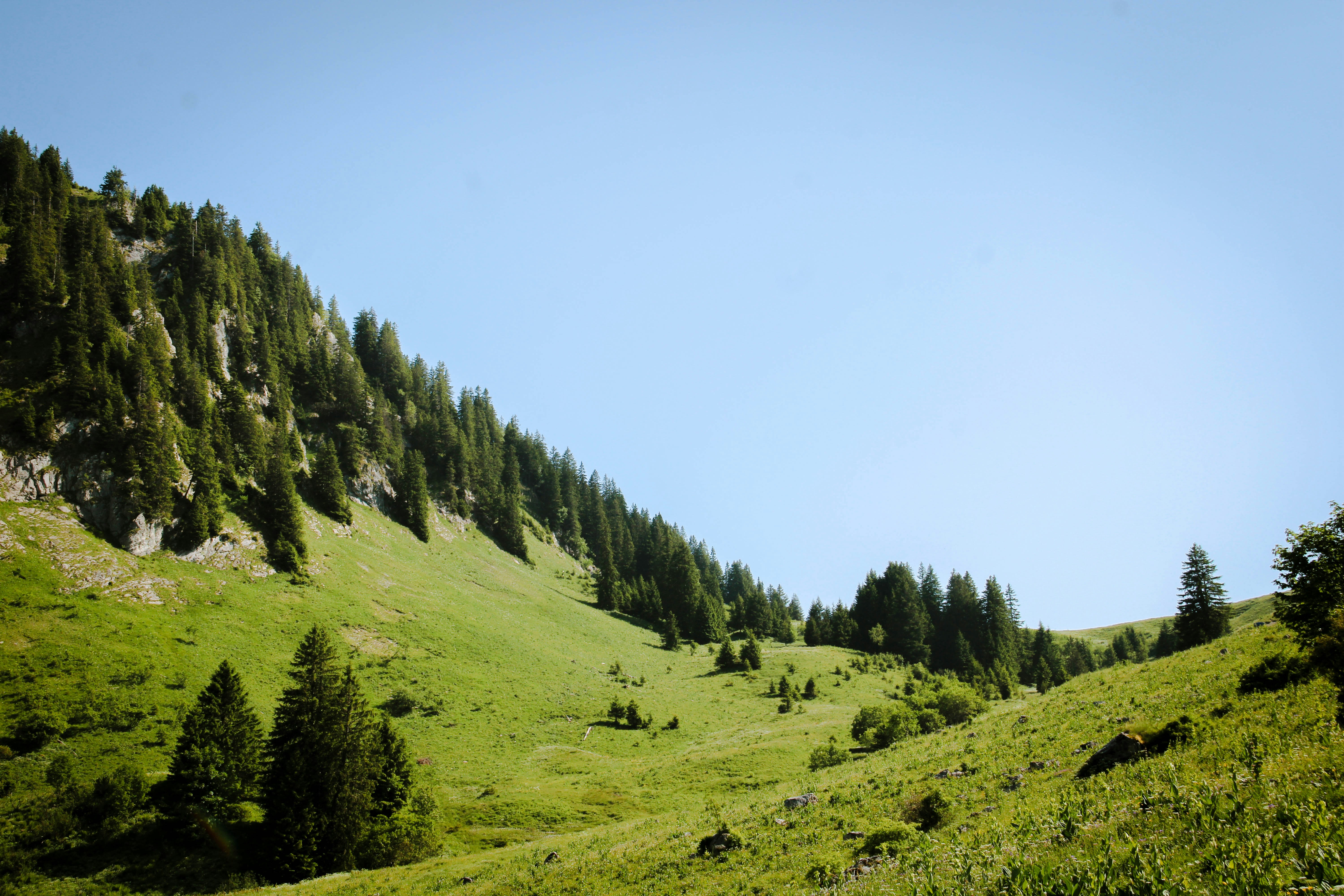 Estimation immobilière à Thonon-les-Bains