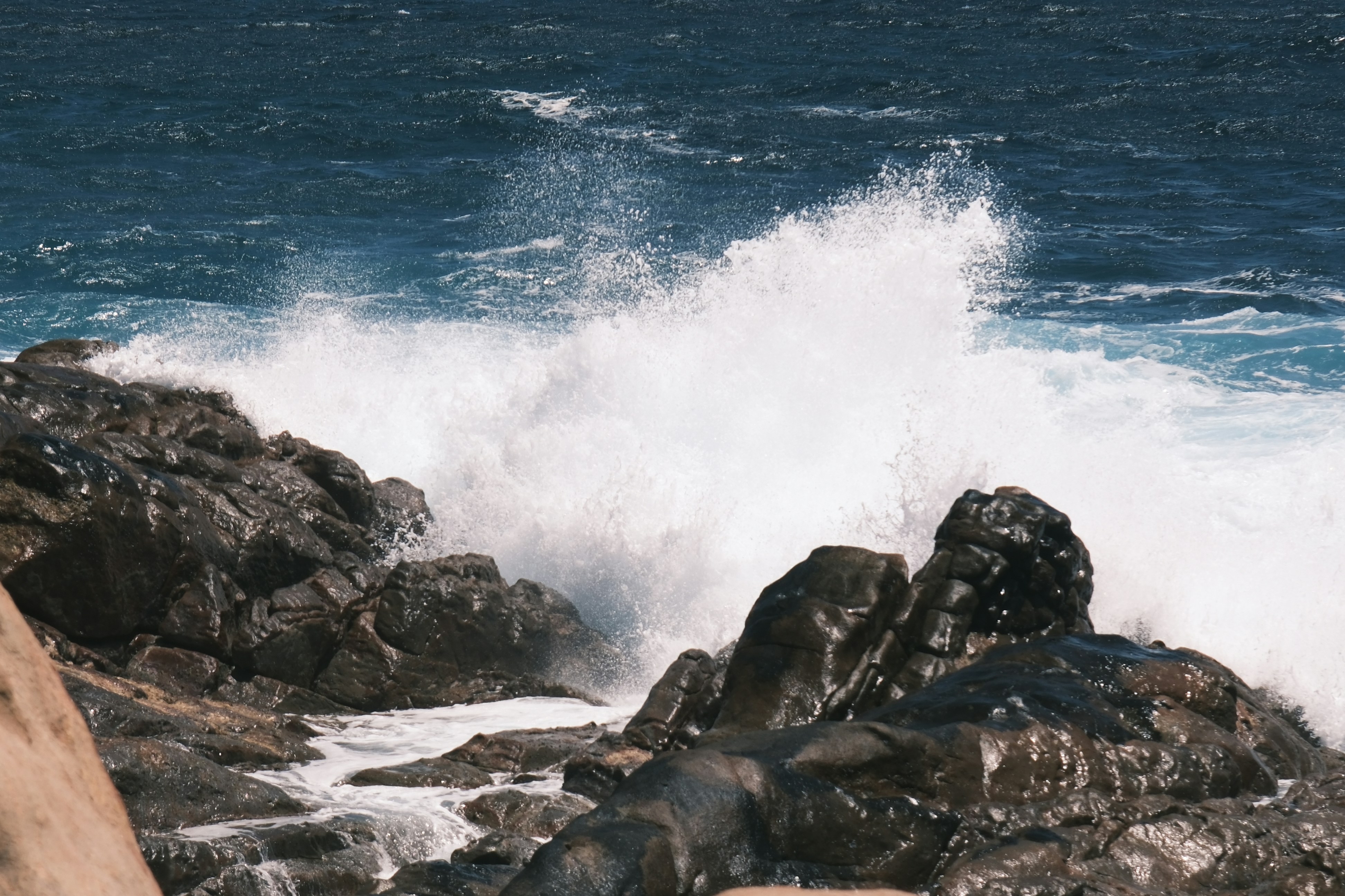 Photo by elsiewwwwww