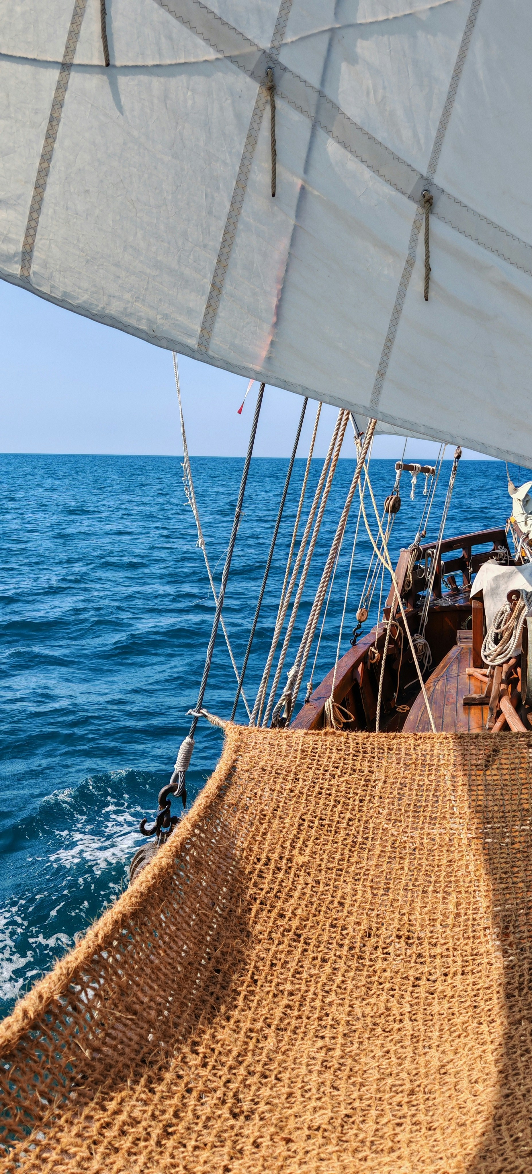 Photo by sandragayan_vincent