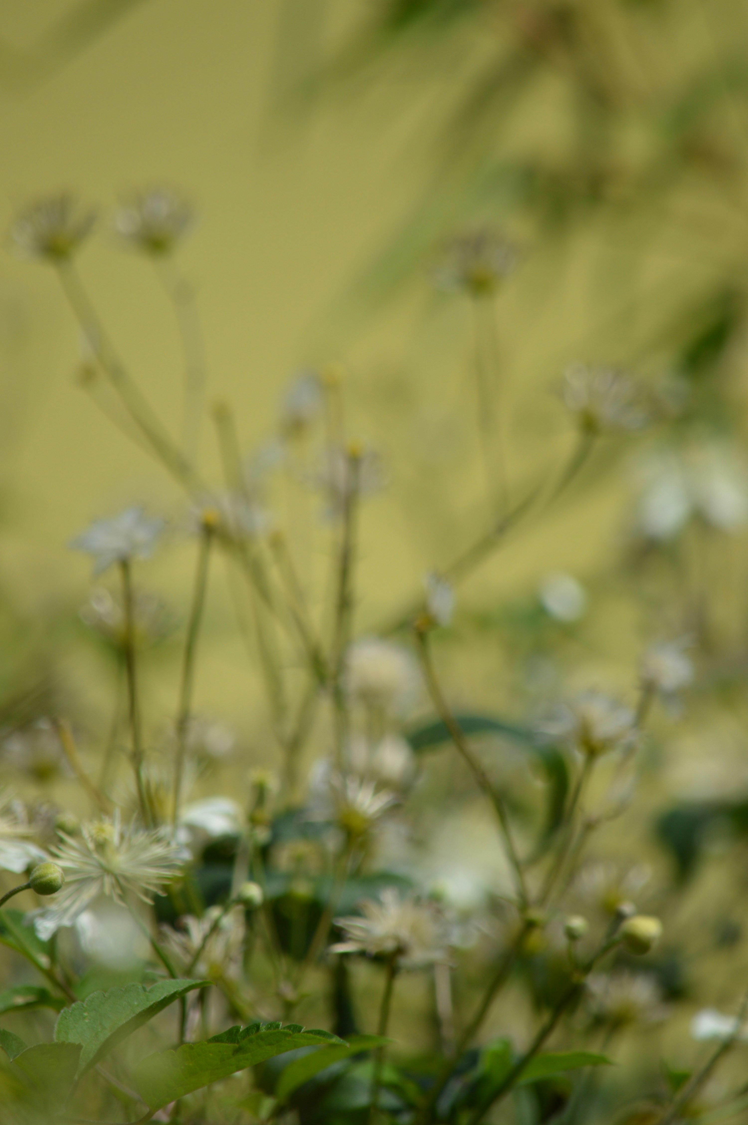 Photo by jennifer_maier_art