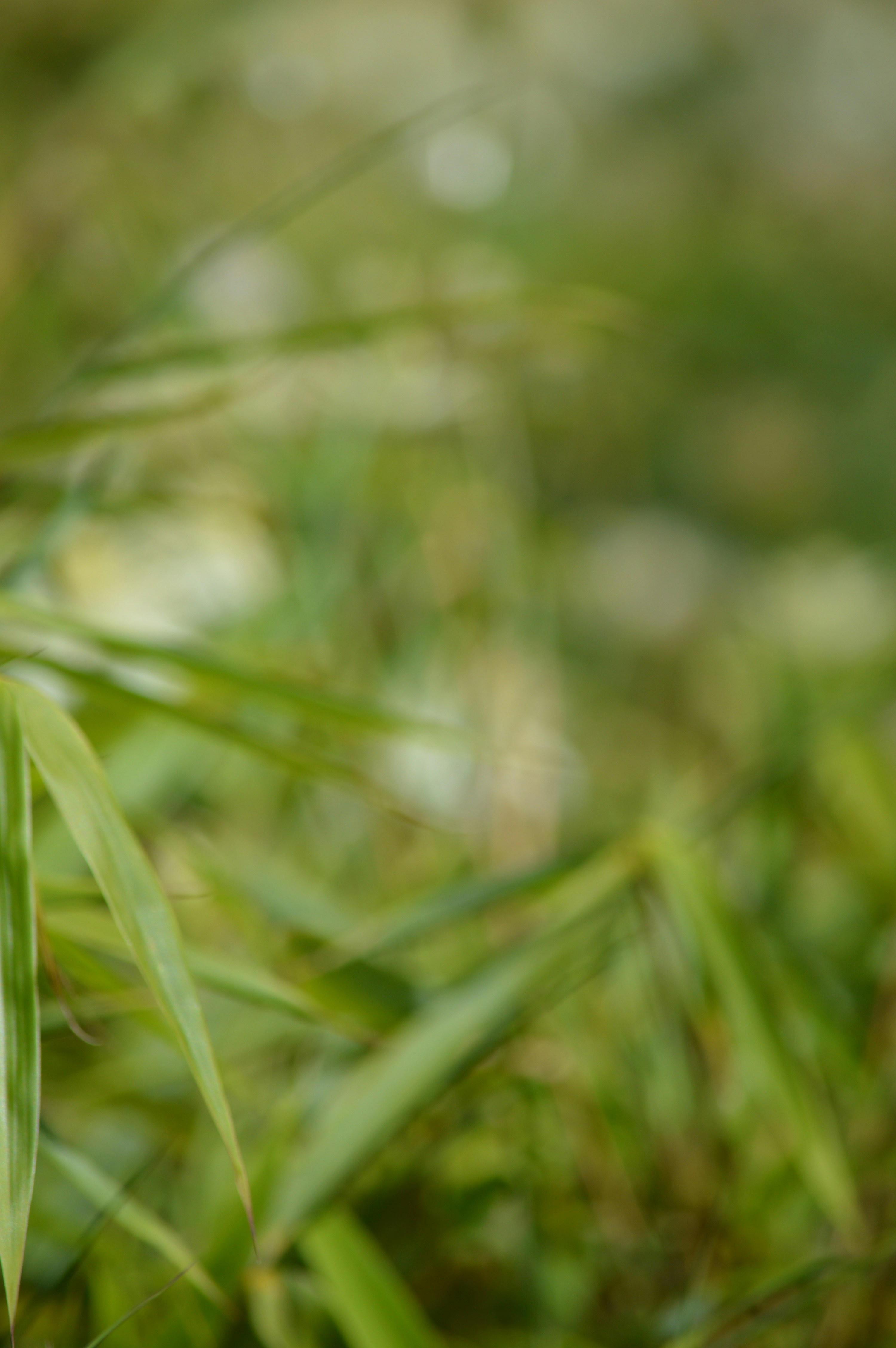 Photo by jennifer_maier_art