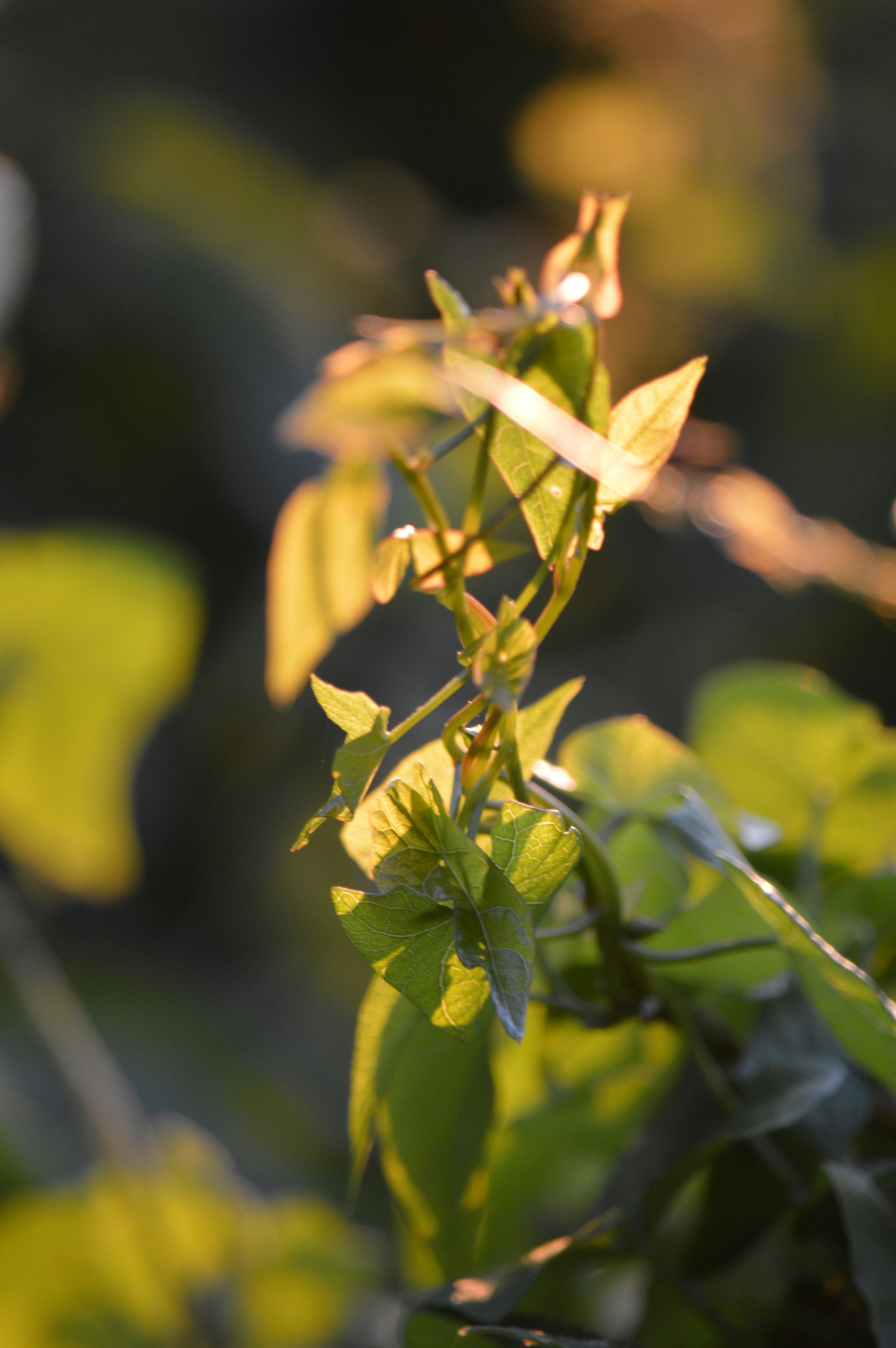 Photo by jennifer_maier_art