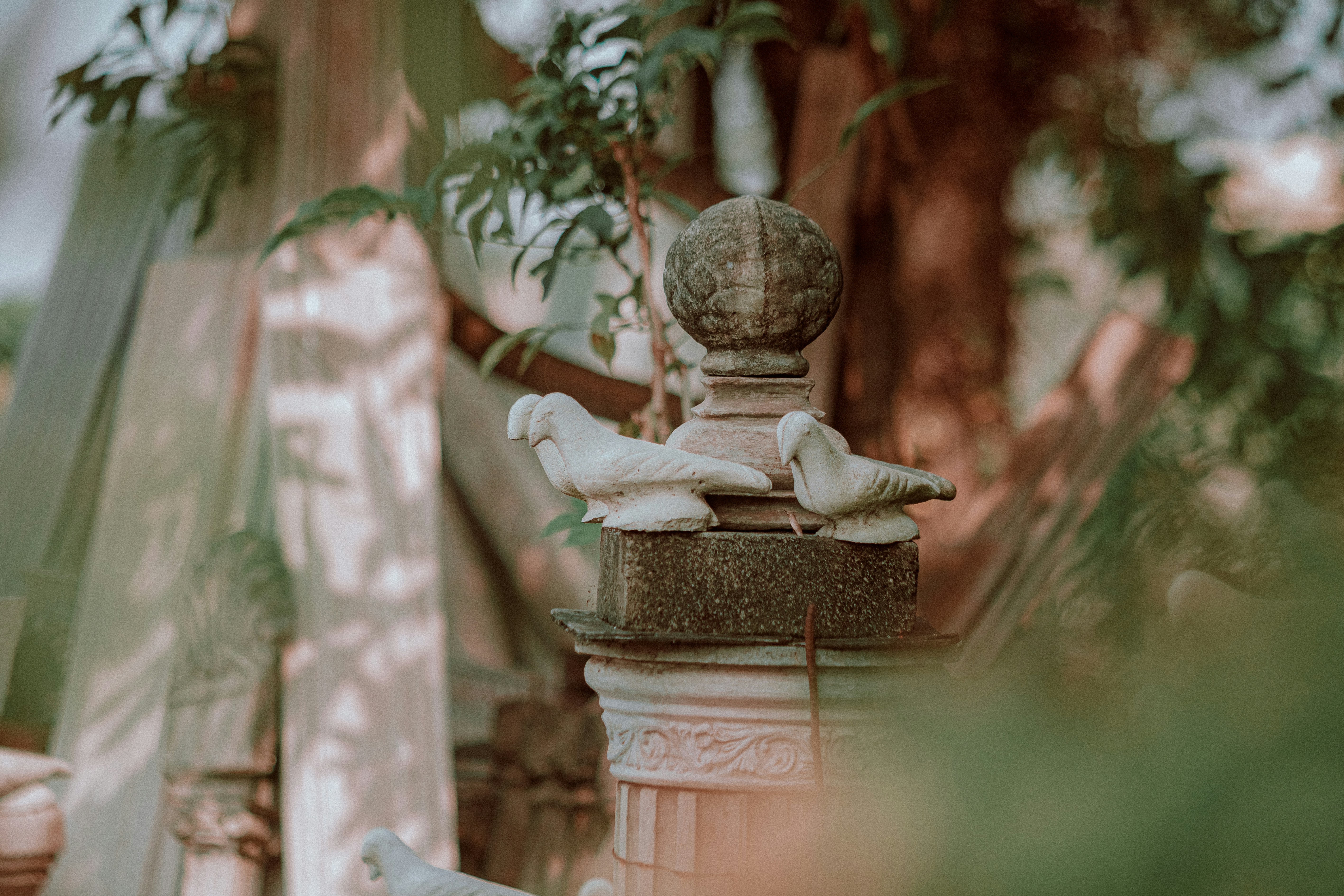 Photo by jealife_pictures