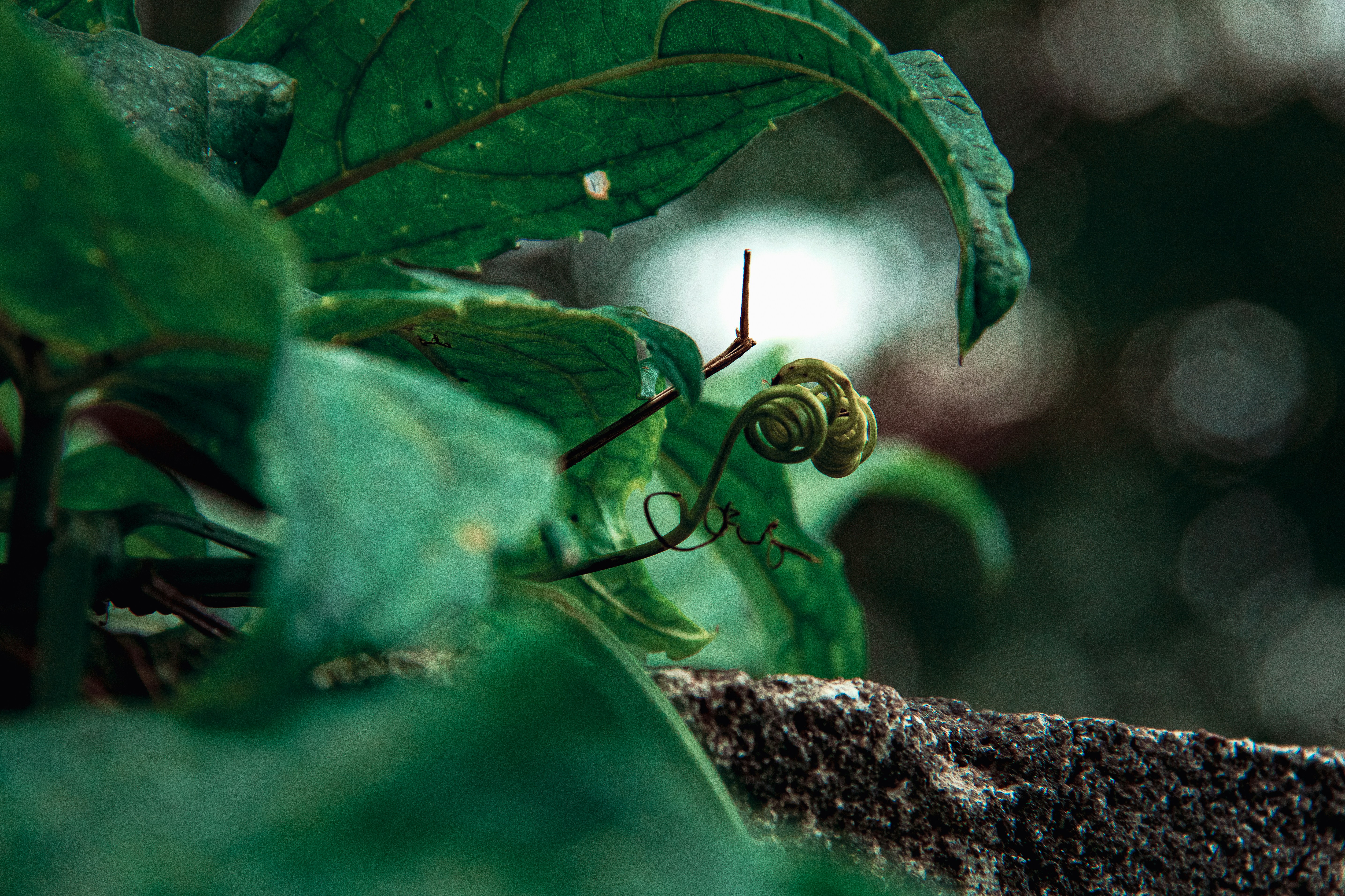 Photo by jealife_pictures