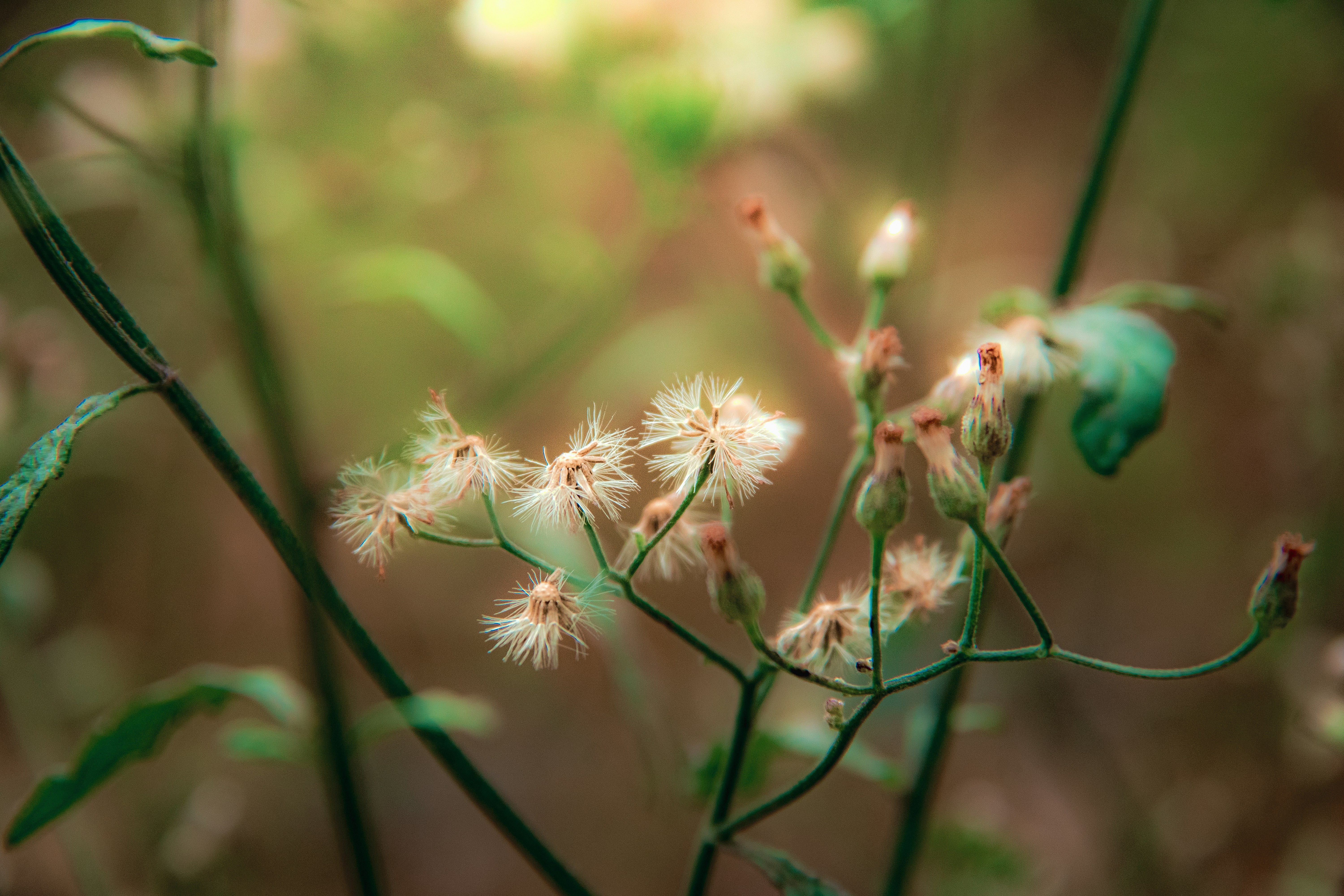 Photo by jealife_pictures