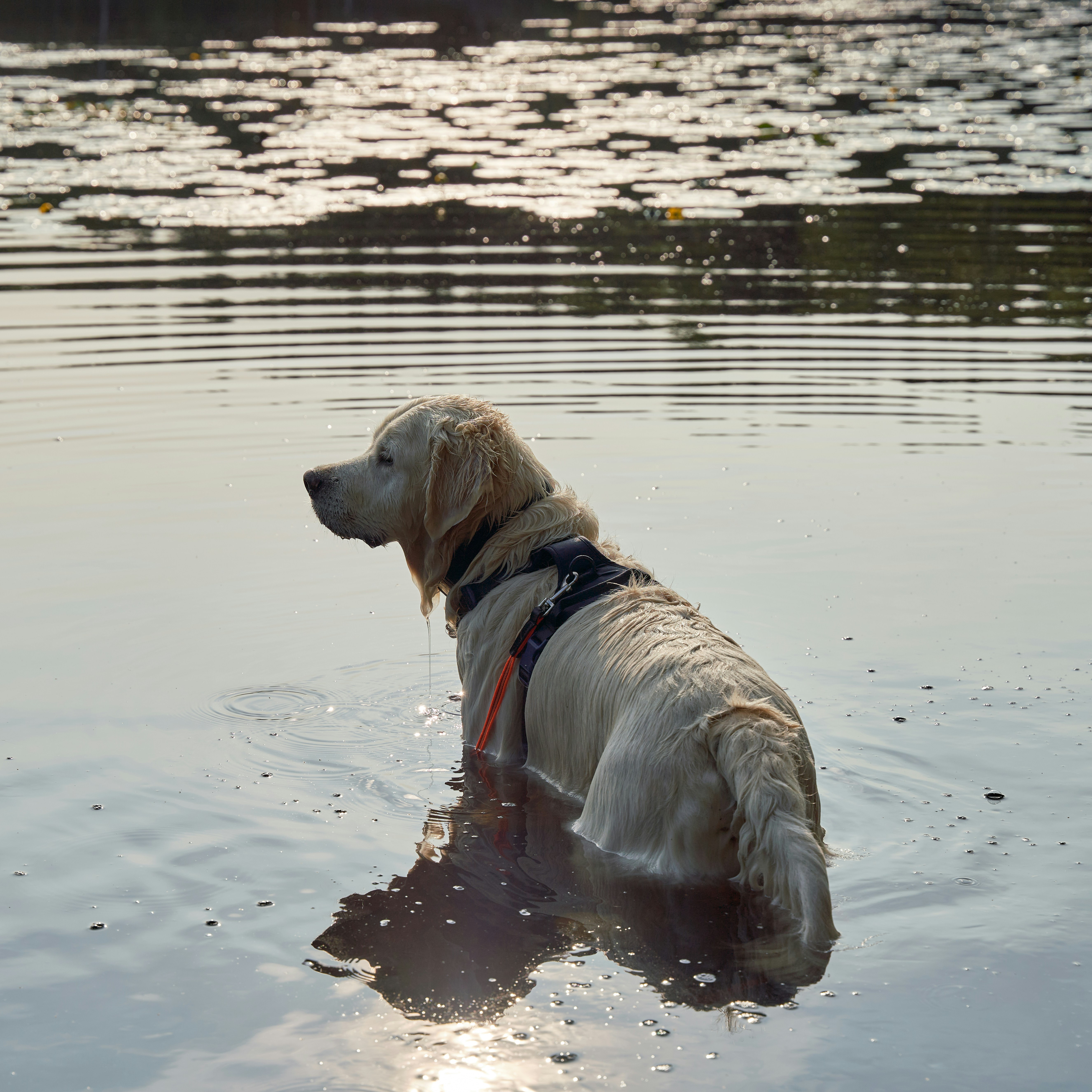 Photo by davotibarna