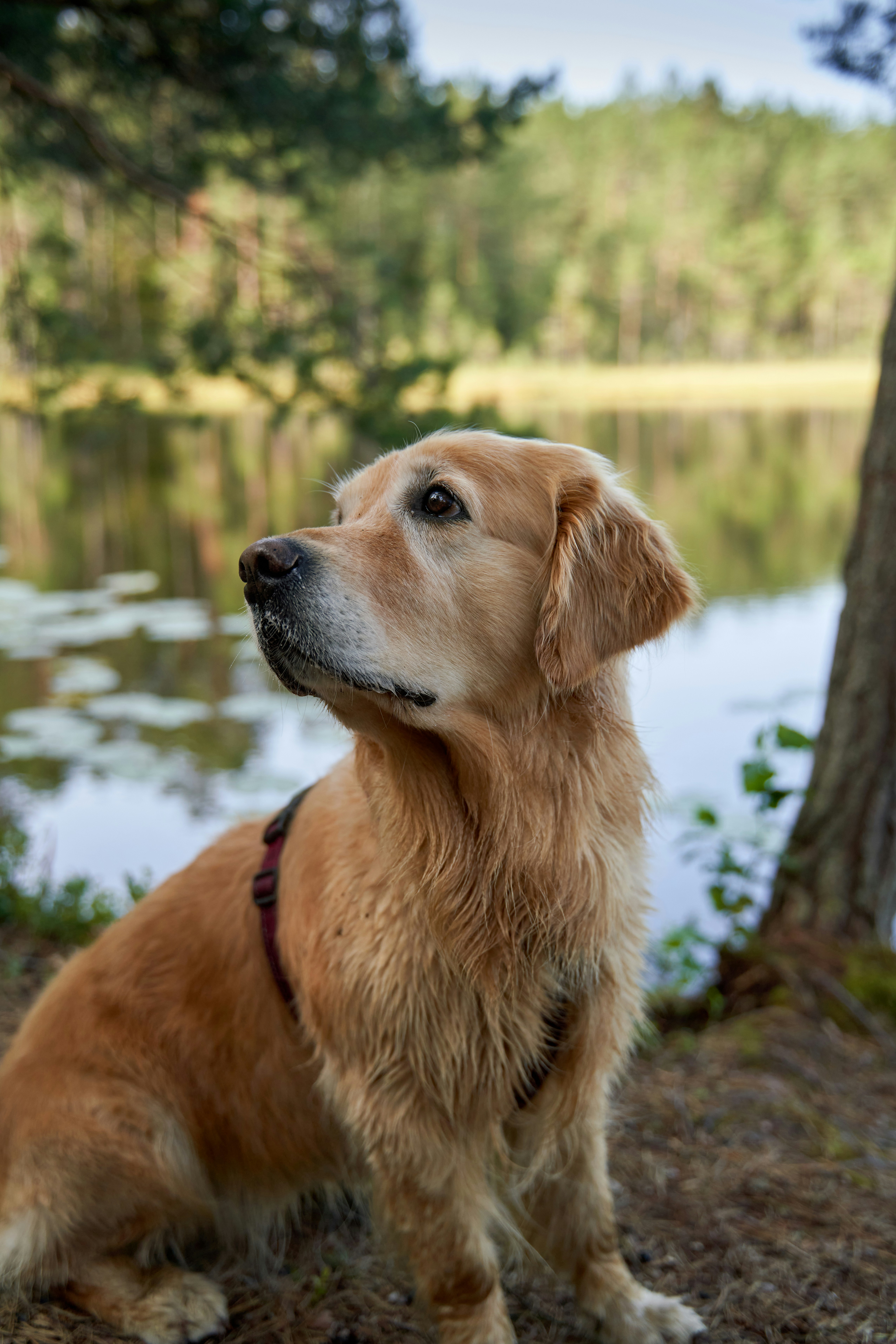 Photo by davotibarna