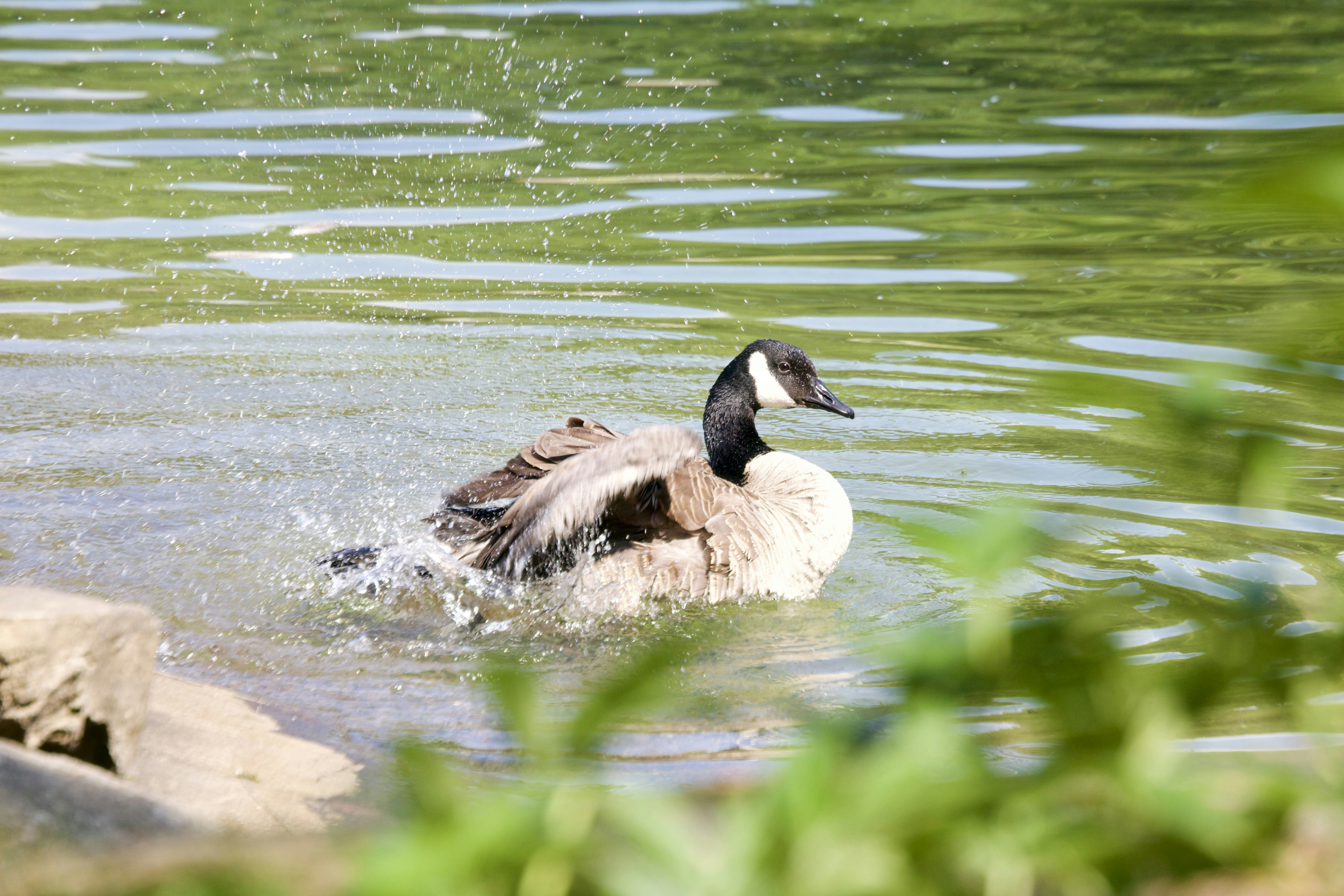 Photo by johncoppock