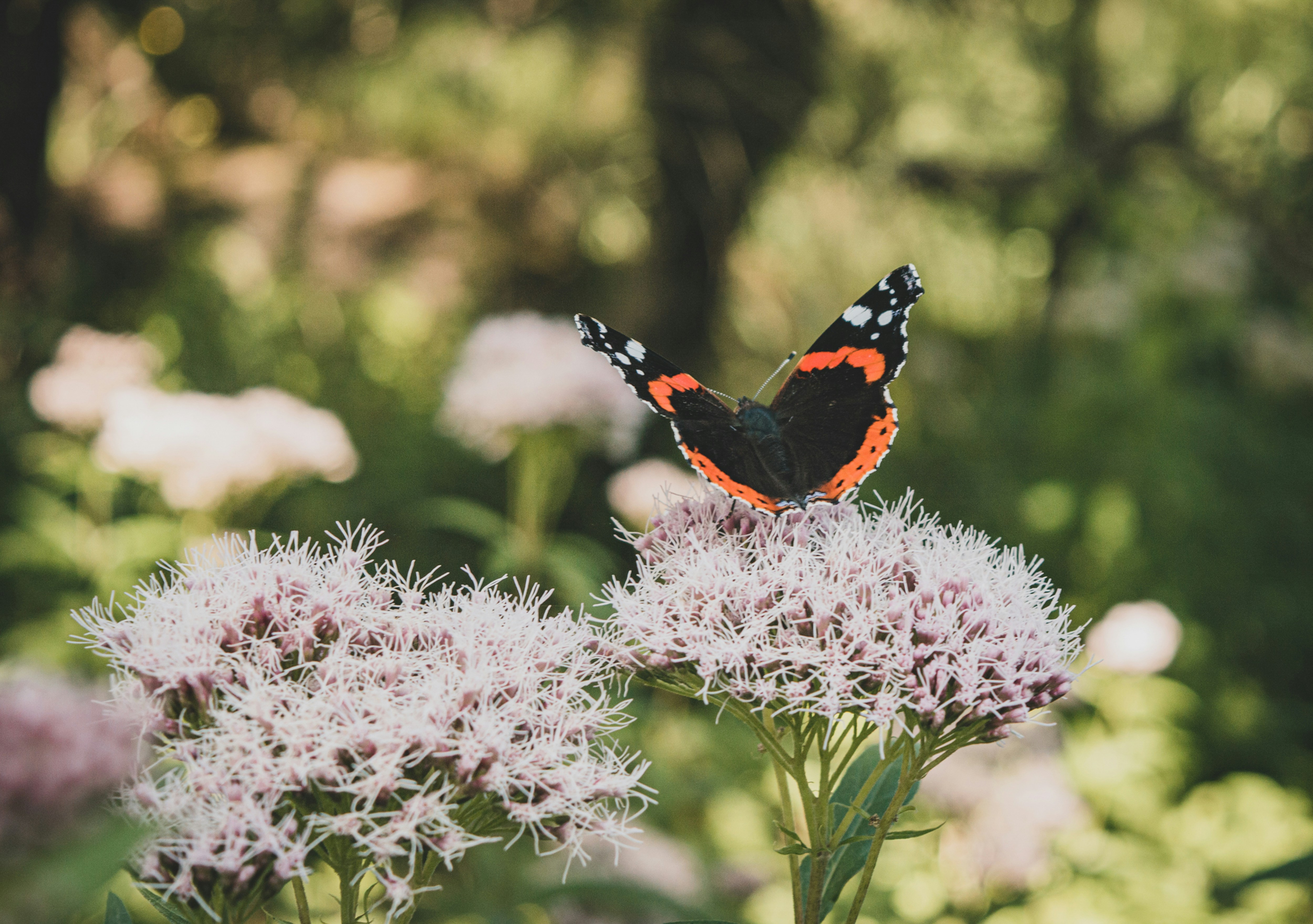 Photo by itsaroadmap