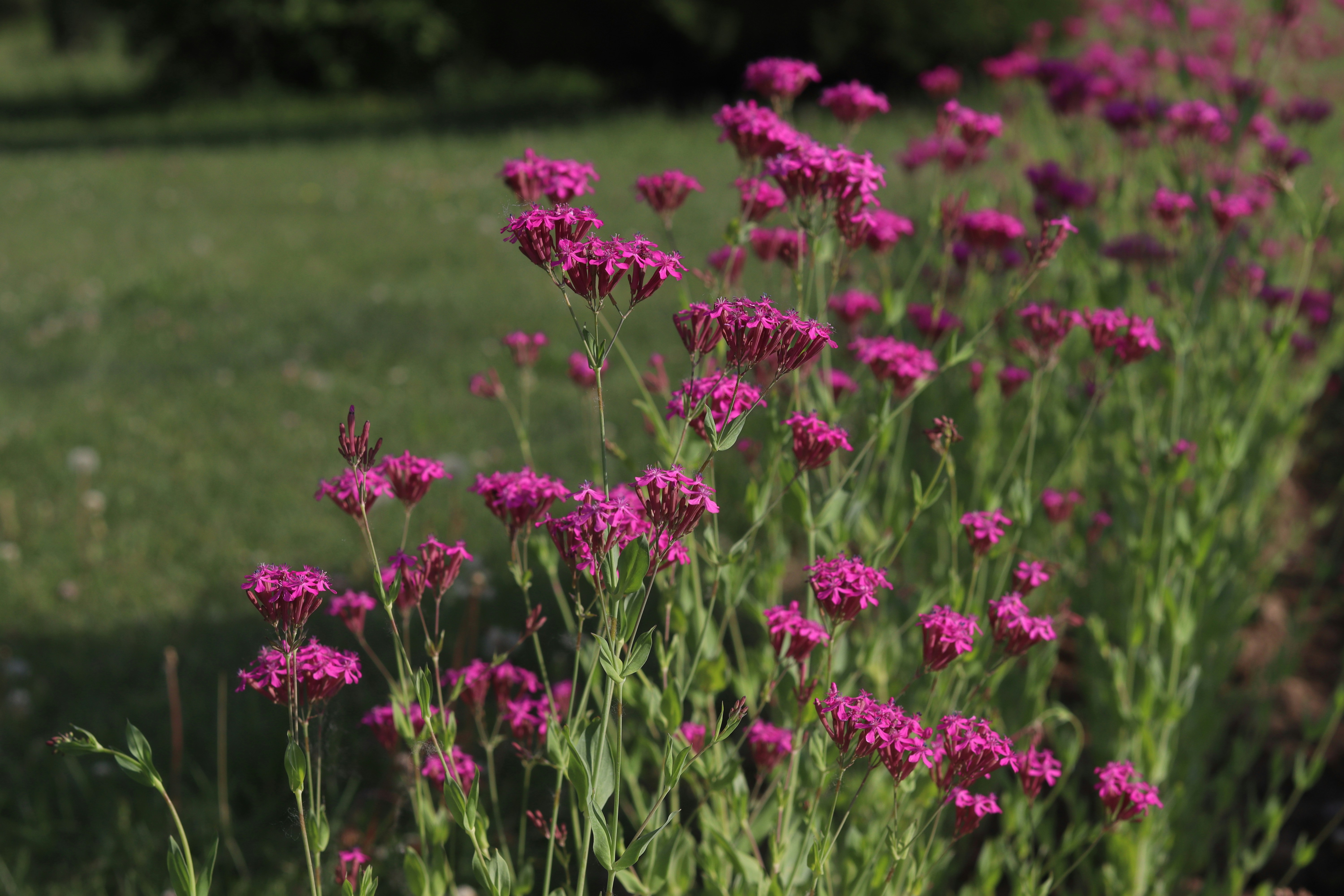 Photo by muazammalik