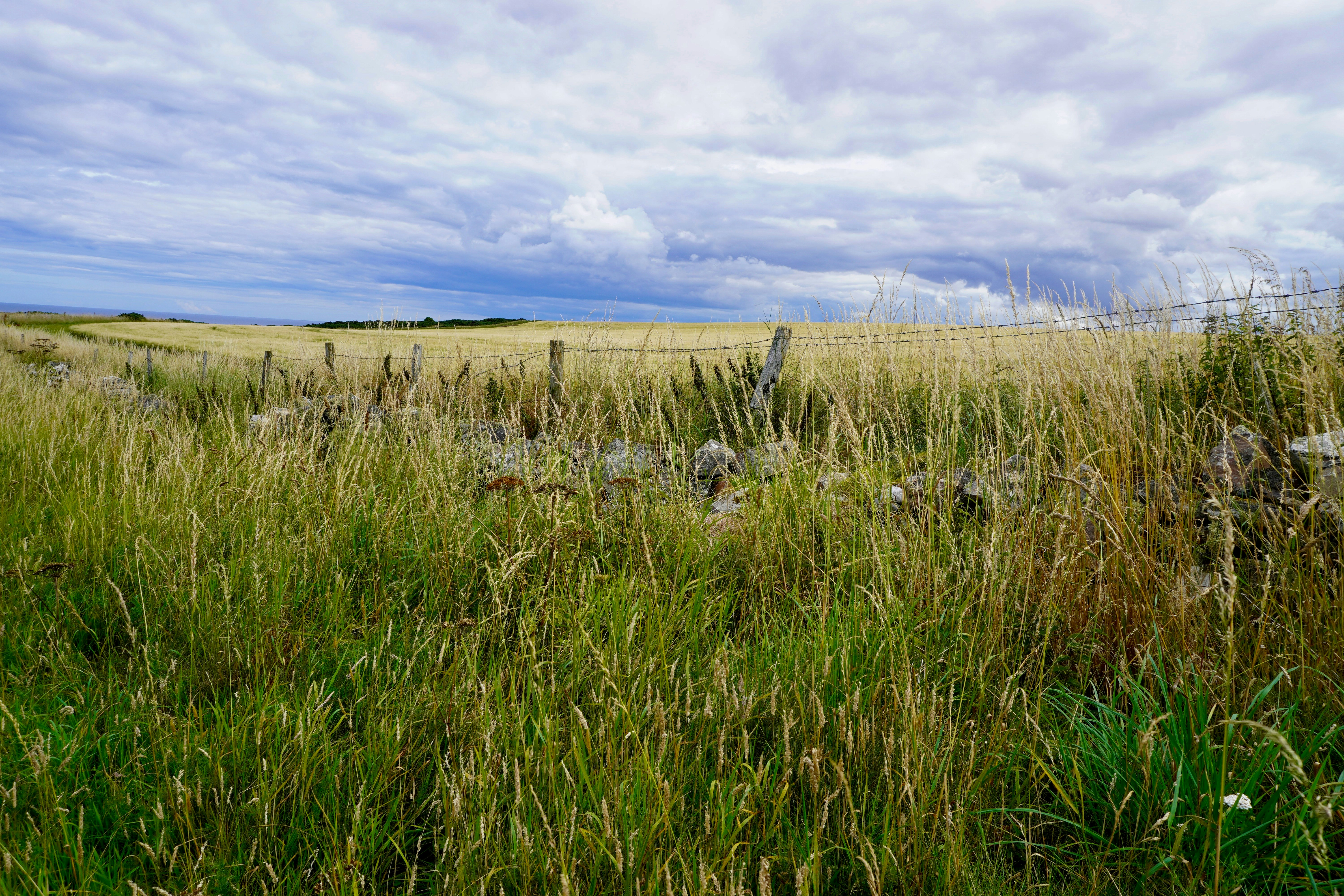 Photo by peterburdon