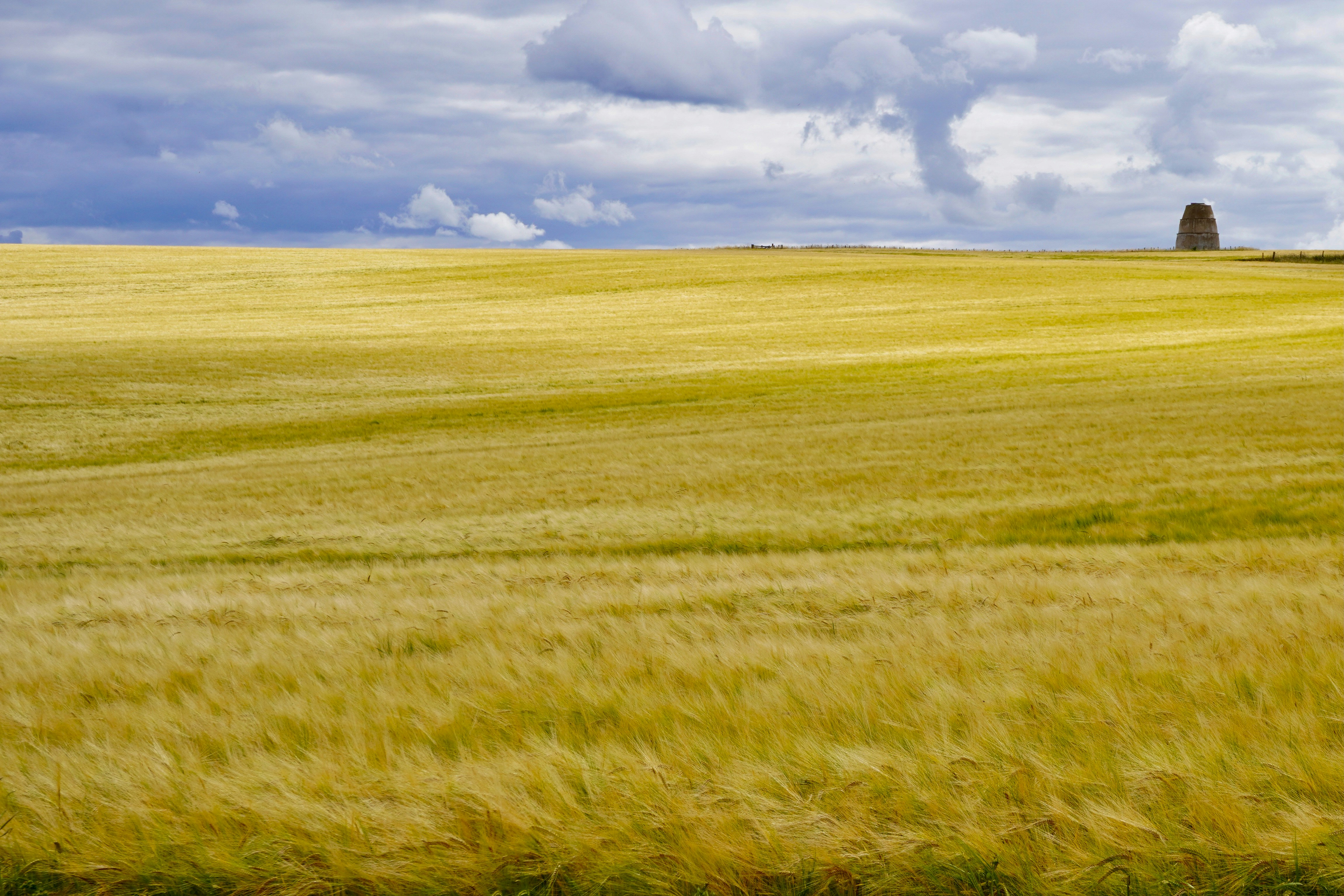 Photo by peterburdon